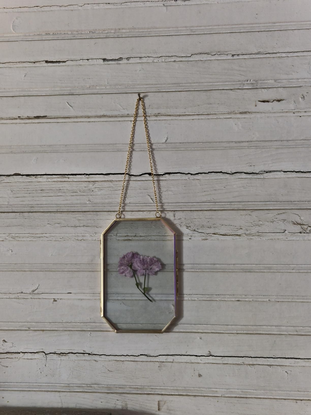 5 Pcs Pressed Flower Frames with Tweezers, Wall Hanging Tabletop Display Double Glass Frames with Metal Chain for Pressed Dried Flowers Plants, Horizontal and Vertical Picture Frame, Golden customer photo 1
