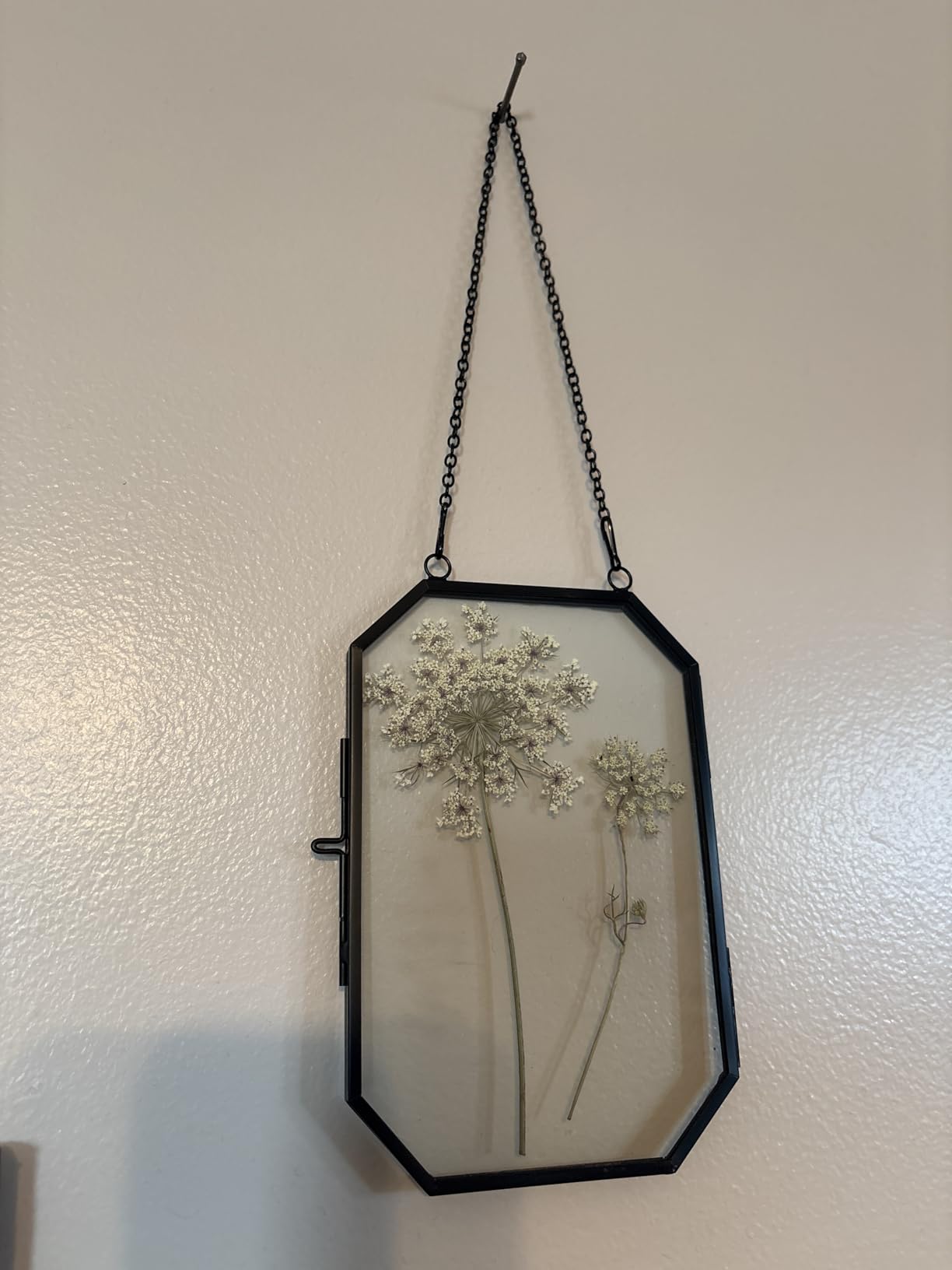 5 Pcs Pressed Flower Frames with Tweezers, Wall Hanging Tabletop Display Double Glass Frames with Metal Chain for Pressed Dried Flowers Plants, Horizontal and Vertical Picture Frame, Golden customer photo 2