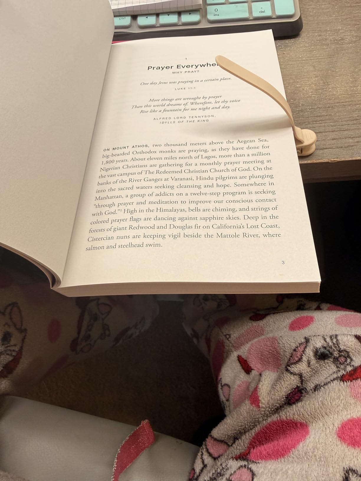 3Pcs Automatic Bookmark, Silicone Smart Book Marks for Reading Women, Men, Kids, Cute Unique Book Markers Bookmark Clip Reading Accessories Gifts for Book Lovers (1 Dark Grey+1 Light Grey+1 Beige) customer photo 1