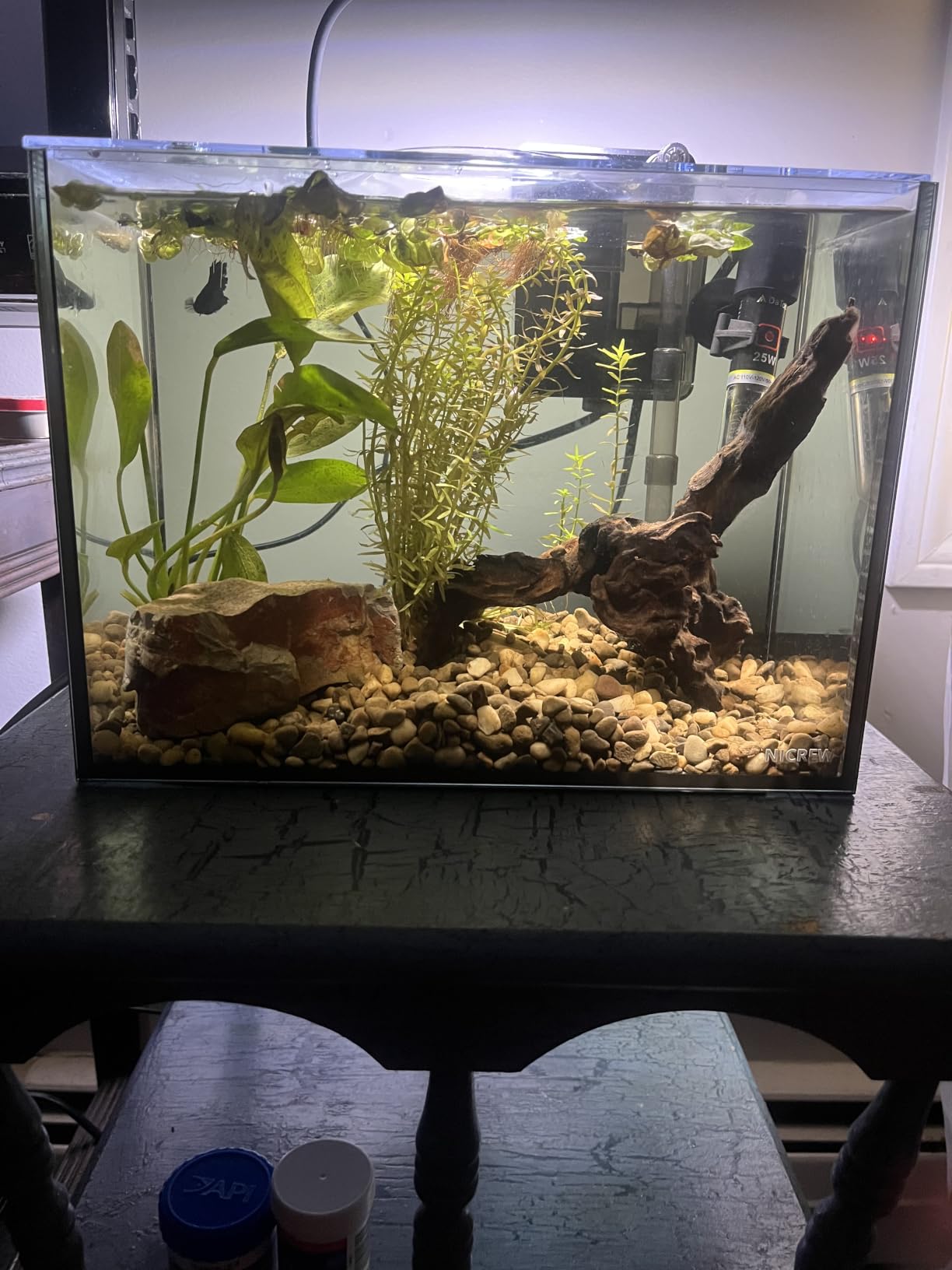 NICREW 2.5 Gallon Nano Nature Aquarium Kit, Ultra-Clear Rimless Desktop Fish Tank with Light, Filter, Gravel and Rock, Perfect for Small Fish, Shrimp, or Betta, Complete Version, Black customer photo 2