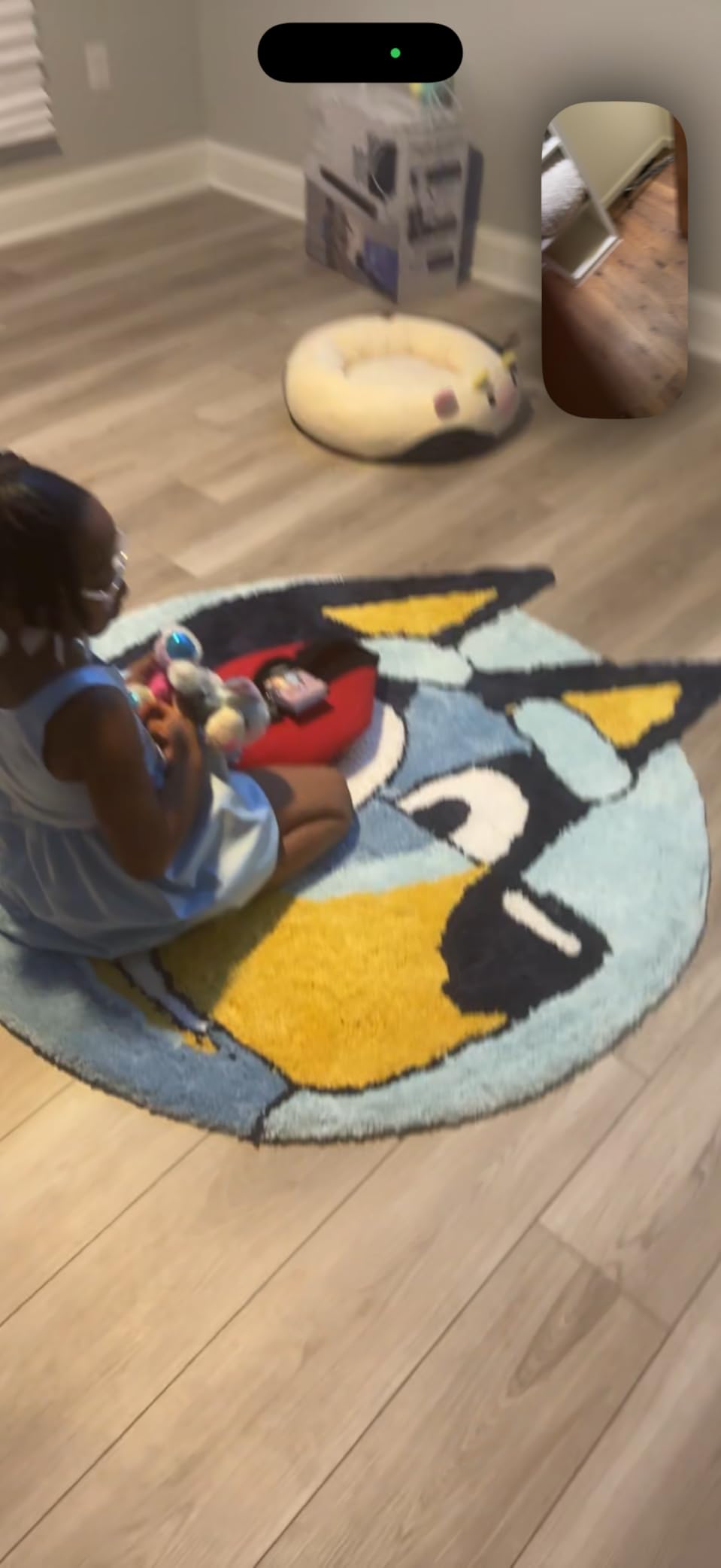 Jay Franco Hello Kitty Rug 4x3 ft, Cute Plush Super Soft Fluffy White | Sanrio Kawaii Area Rug, Machine Washable Non-Slip Carpet for Girls Bedroom, Living Room, Dorm, Officially Licensed customer photo 2