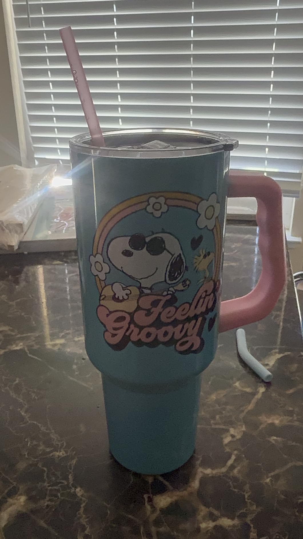 Silver Buffalo Spongebob Squarepants, Stainless Steel Tumbler, 40oz | Double Walled, Includes Handle, Fits in Standard Cup Holder, Straw, 1.18 Liters customer photo 1