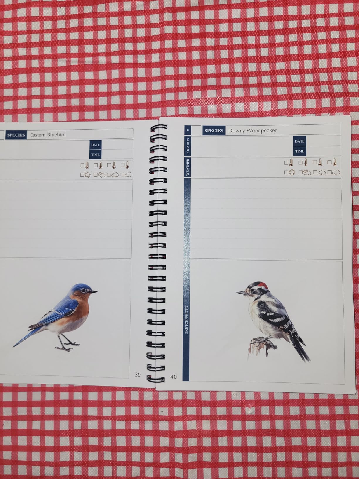 Bird Watching Journal with Life List & Checklist - Improve Your Observation Skills With This Birding Log Book With Illustrations of North America's Most Common Birds. A Thoughtful Gift for Bird Lovers customer photo 1