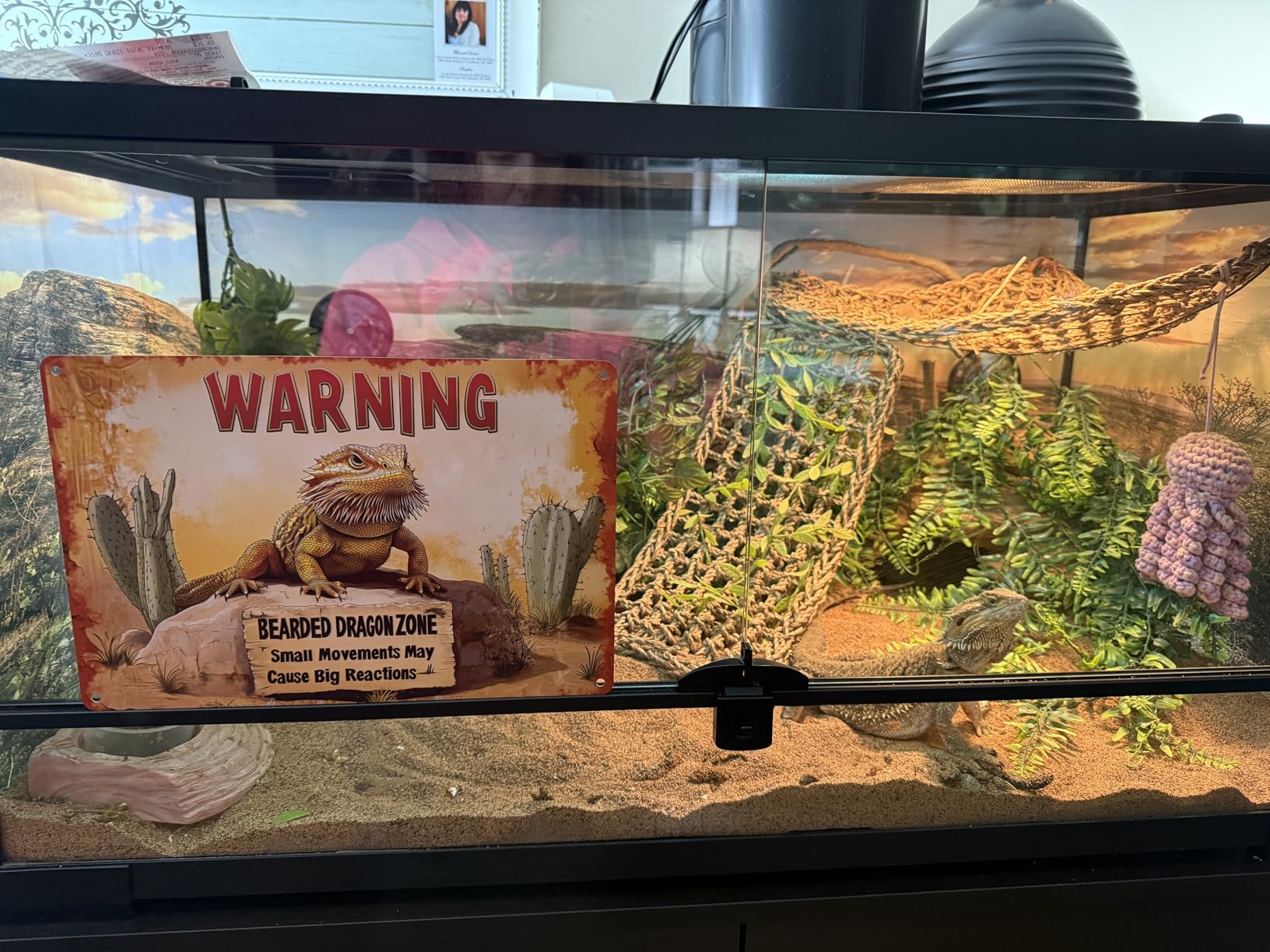 Leopard Gecko Sign, Funny Reptile Metal Wall Decor, 8 x 12 Inch customer photo 2
