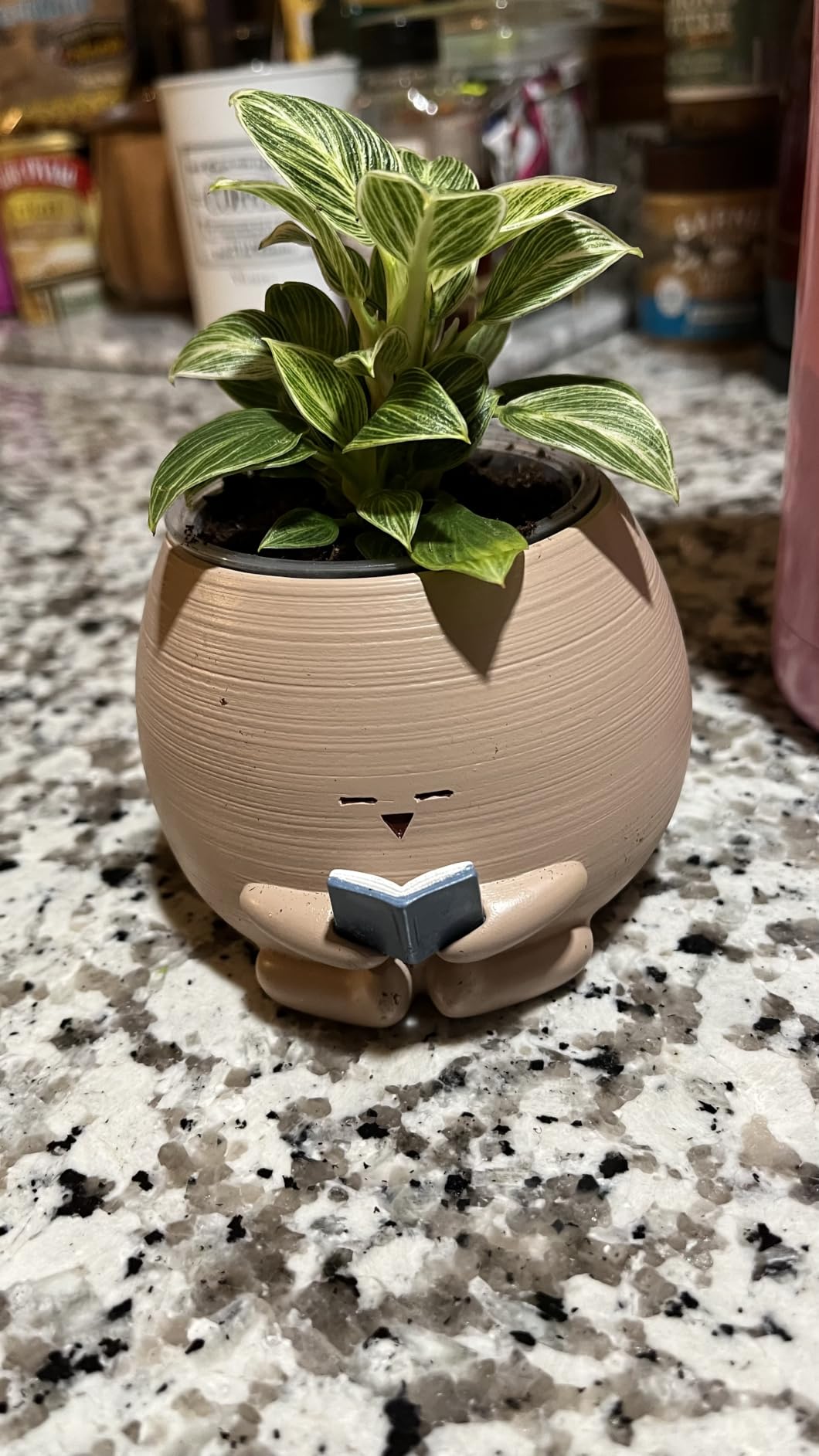 Bookworm Planter Pot - Cute Plant Pots for Succulents with Thank You Sign & Card, Small Reading Planter for Indoor Outdoor Decor, Succulent Gifts for Book Lovers, Teacher Dad Mom Appreciation customer photo 2