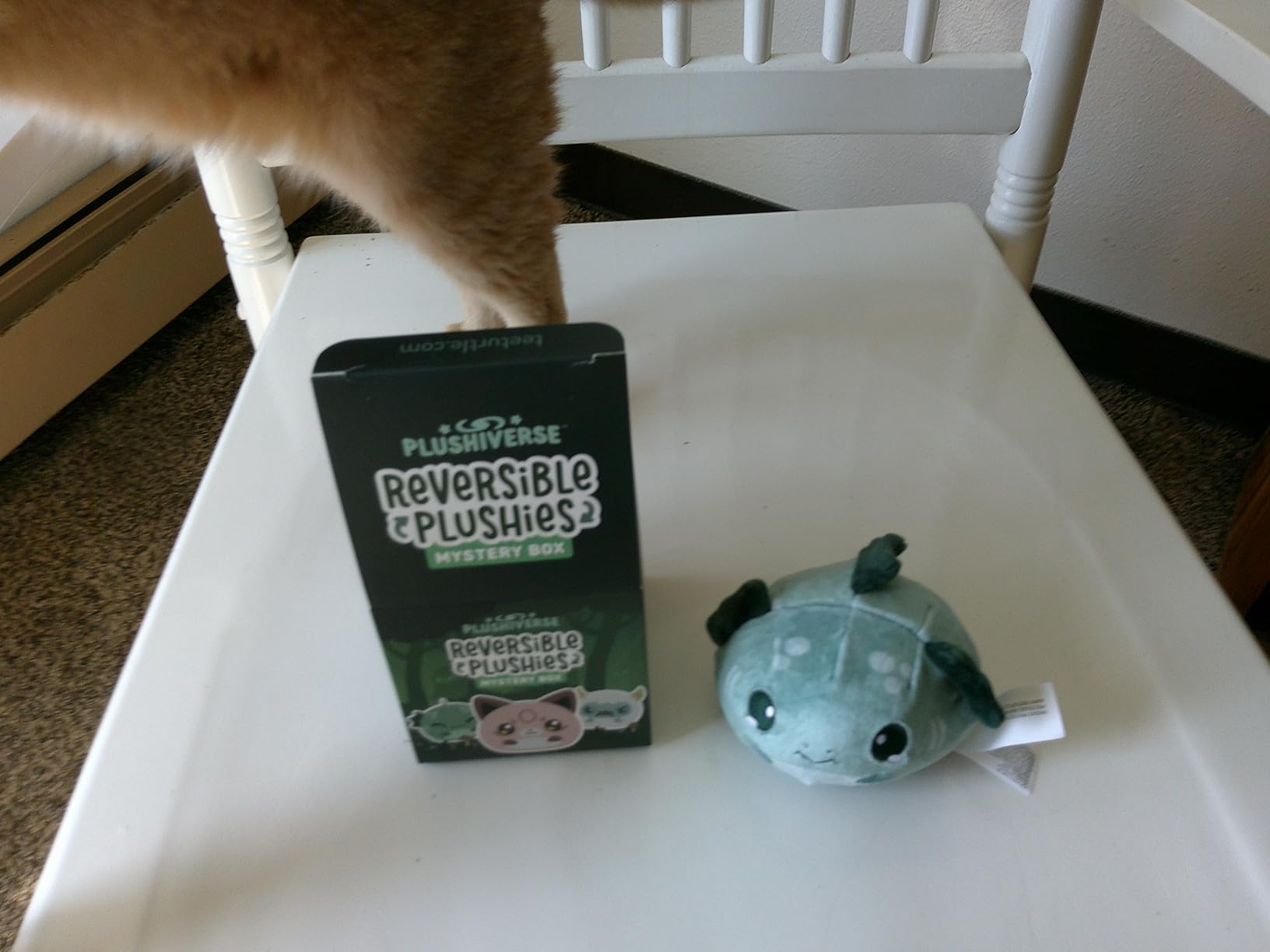 TeeTurtle D&D Series 3 Inch Plushie Mystery Box customer photo 1