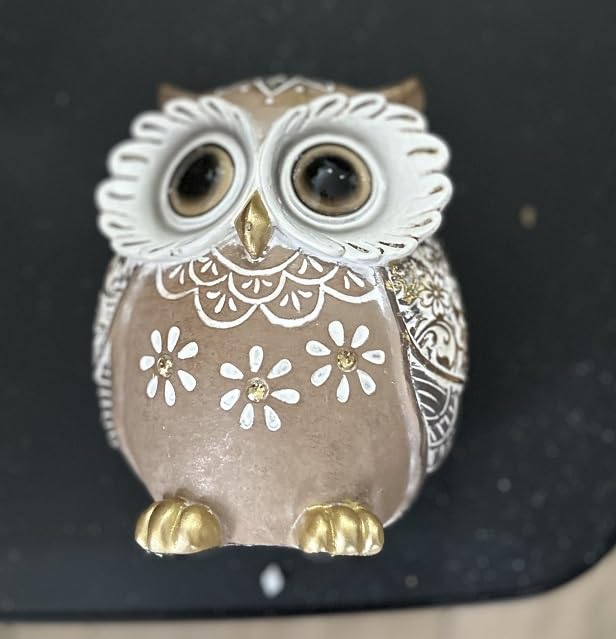 Leekung Owl Figurine Home Decor, Owl Statues and Sculptures for Shelf Decor Accents, Boho Owls Decorations for Bookshelf Bedroom Living Room Office Table Decor, Animal Gifts for Bird Lovers Women customer photo 1