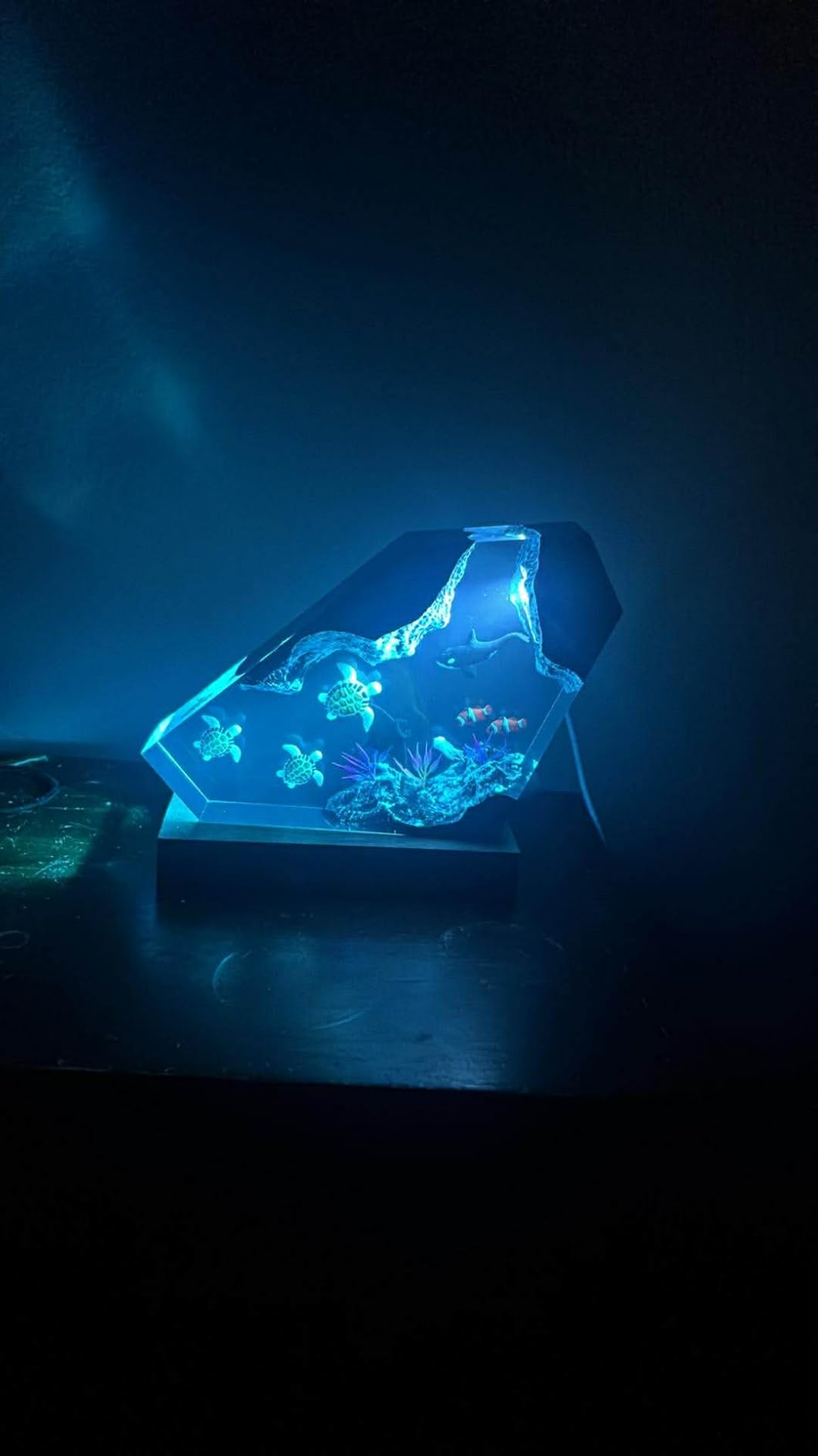 Orca Ocean Resin Lamp, Handmade Table Resin Night Light with USB Port | Art Ornaments for Home Office Decor, Scuba Diver Gifts for Holiday, Unique Birthday Orca Gifts for Mom Grandma Brother Sister customer photo 2