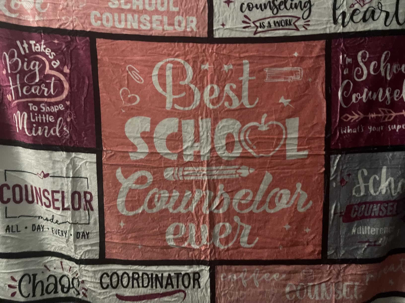 School Counselor Gifts - School Counselor Appreciation Gifts - Guidance Counselor Gifts for Women - Gifts for School Counselor on Retirement Birthday Soft Throw Blanket 60