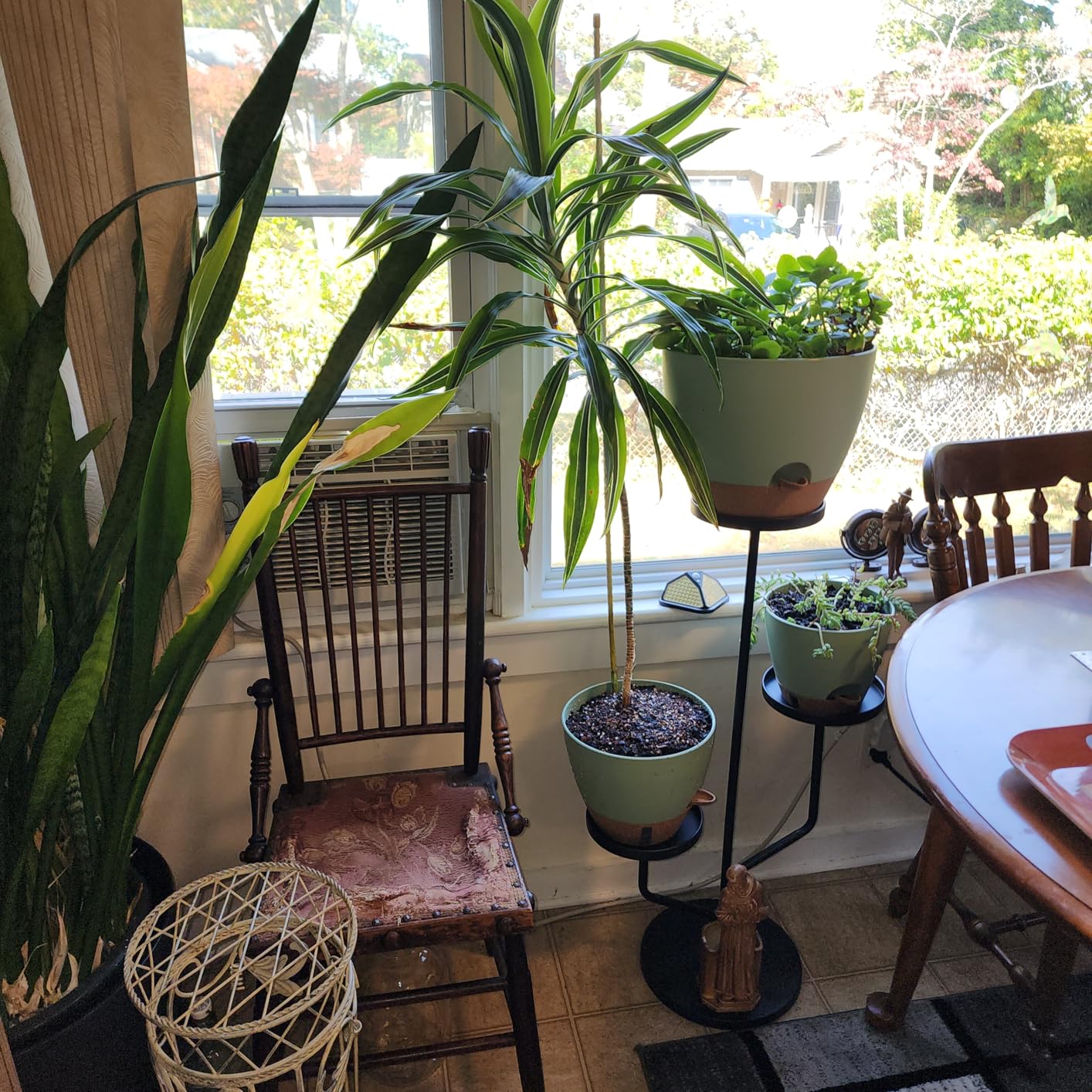 8/10/12 Inch Self Watering Pots for Indoor/Outdoor Plants | Large Plastic Planter with Drainage Holes, Water Level Indicator & Deep Reservoir, Modern Decorative Flower Pots, White customer photo 2