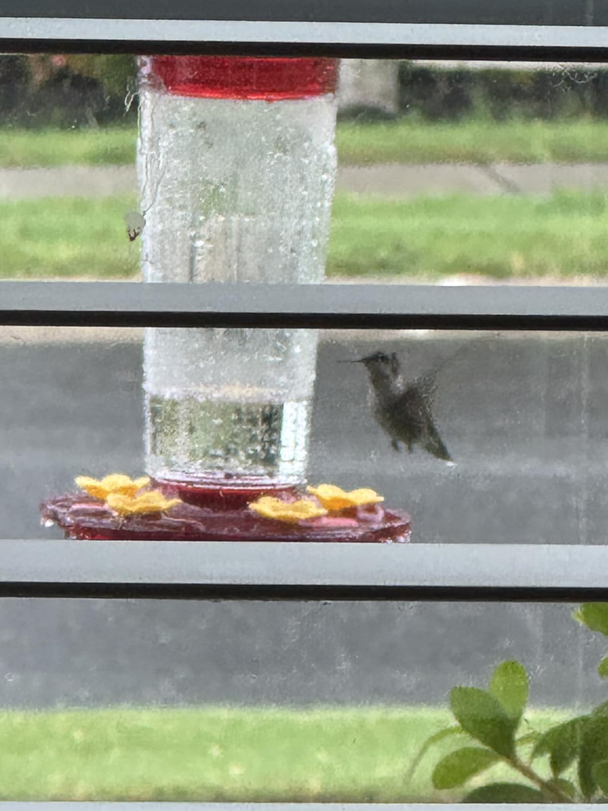 2 Pack Plastic Hummingbird Feeders for Outdoors Hanging Ant and Bee Proof, 15 Ounces Red Hummingbird Feeder with 5 Feeding Ports and Perches, Built-in Ant Moat, Outside Garden Décor (Plastic, 2) customer photo 1