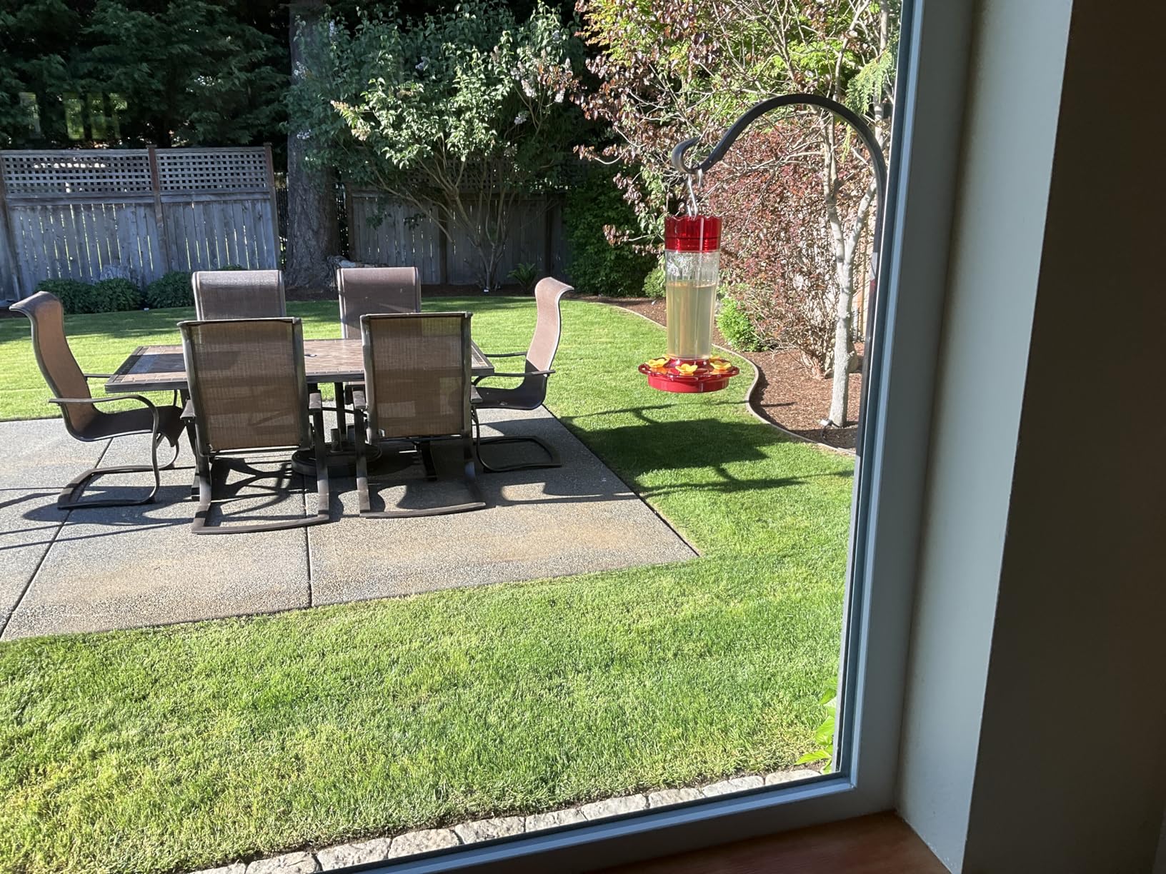 2 Pack Plastic Hummingbird Feeders for Outdoors Hanging Ant and Bee Proof, 15 Ounces Red Hummingbird Feeder with 5 Feeding Ports and Perches, Built-in Ant Moat, Outside Garden Décor (Plastic, 2) customer photo 2
