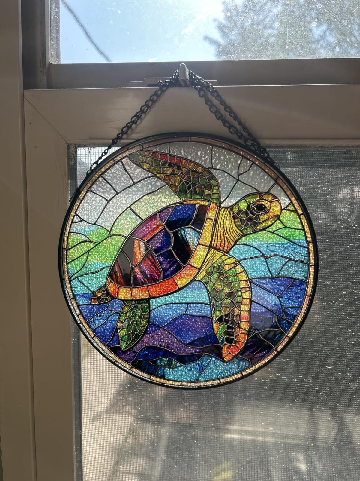 DASTOLL Stained Glass Window Hanging, Green Frog White Petals Sun Catchers Colorful Glass Panel Cute Suncatcher Decor for Birthday for Women, Men, Wife, Aunt, and Mom 6.3 in customer photo 1