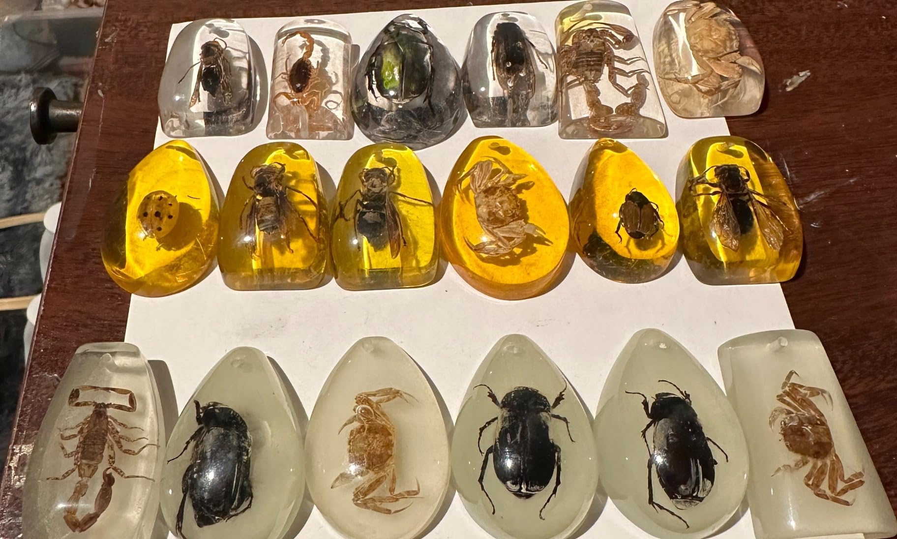 18 pcs Plant Amber Fossils, BOSOIRSOU Amber Fossil Pendants, Different Plant Specimens, Plants Preserved in Resin, Kids Educational Toy and Scientific Amber Collections - Random Patterns customer photo 1