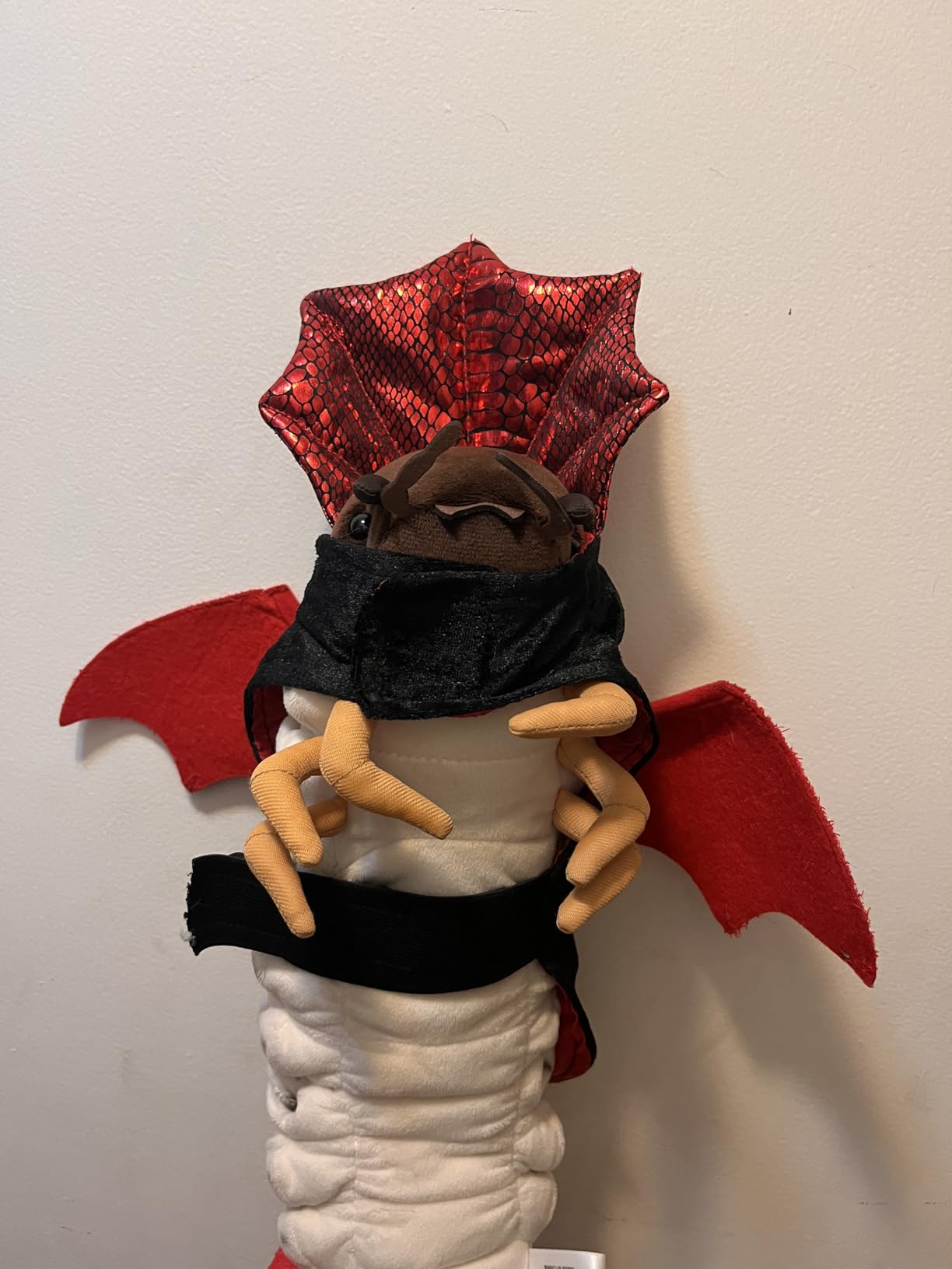 Horseshoe Crab Plush Stuffed Animal Toy, Premium Realistic Paleontology Design with Intricate Detailing for Ocean Life Enthusiasts customer photo 2