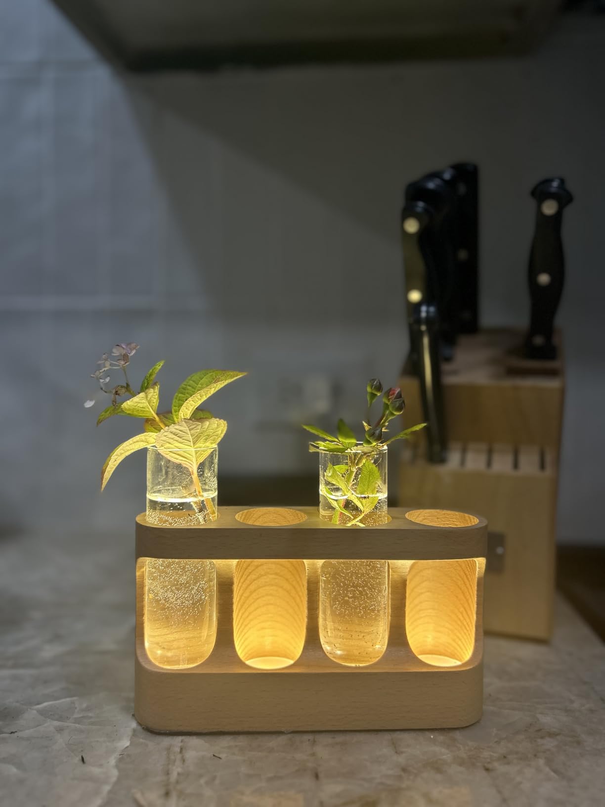 Plant Propagation Station with 9-Speed Adjustable LED Lights, Wooden Stand, 4 Glass Test Tubes for Hydroponic Plants customer photo 1