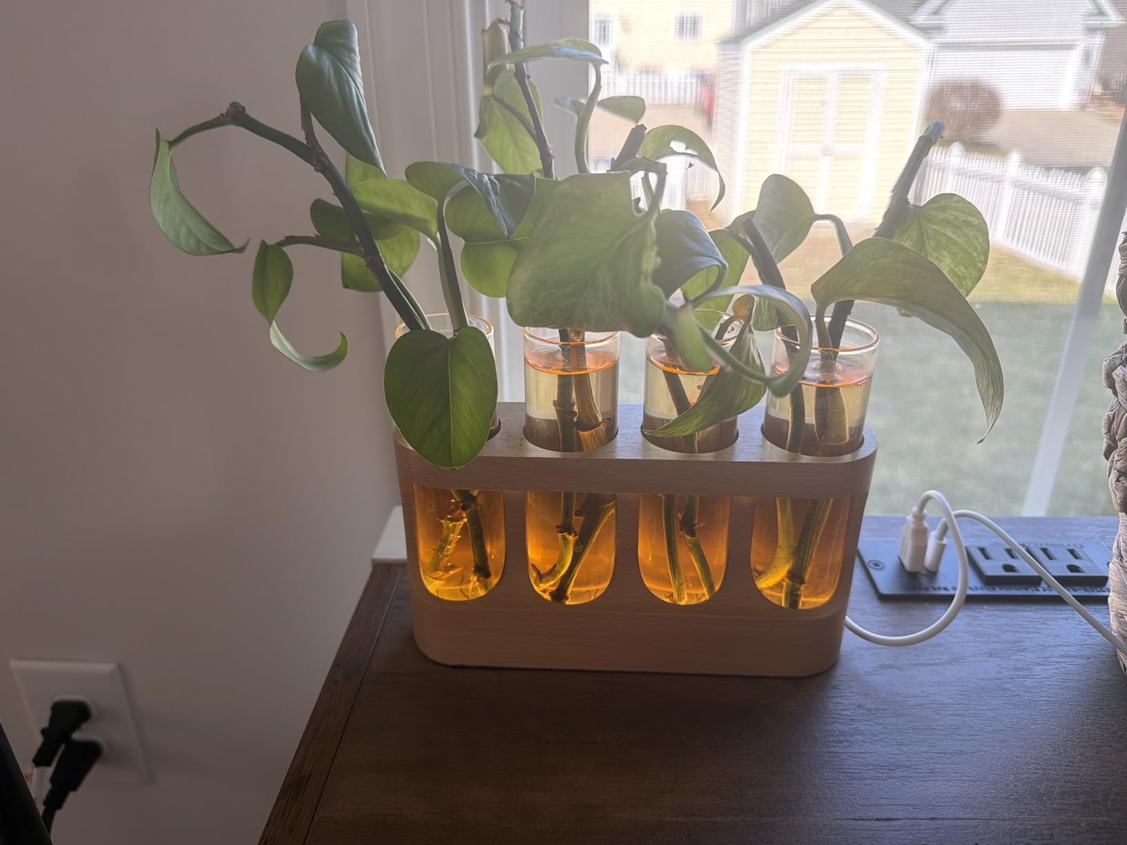 Plant Propagation Station with 9-Speed Adjustable LED Lights, Wooden Stand, 4 Glass Test Tubes for Hydroponic Plants customer photo 2