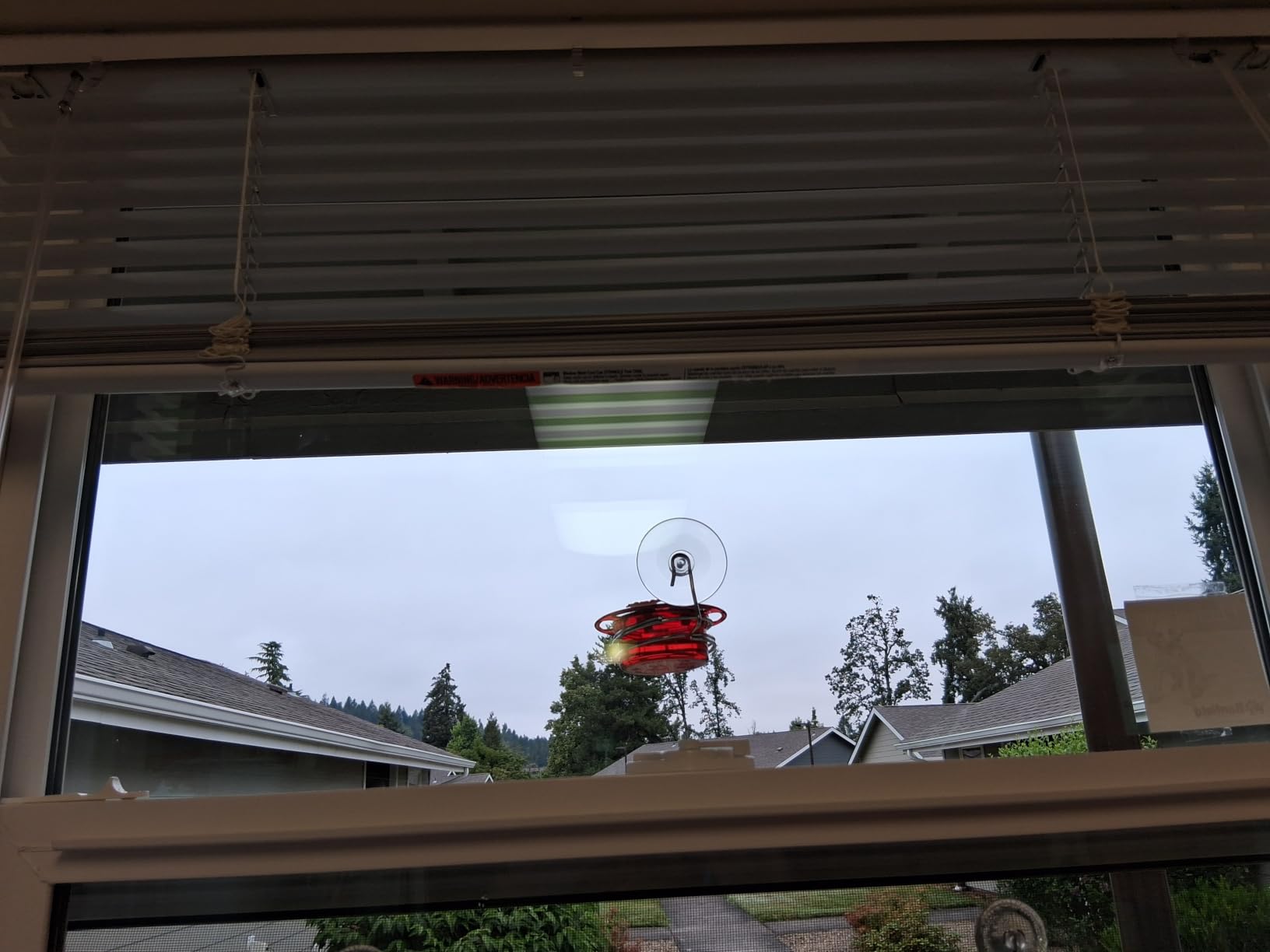 Window Hummingbird Feeder with Strong Suction Cup, BPA-Free 3.4OZ, Red 3 PK, Bee-Proof, 3 Feeding Ports, Twist-Off Lid, Easy Cleaning, Height-Adjustable, Durable for Outdoor customer photo 1