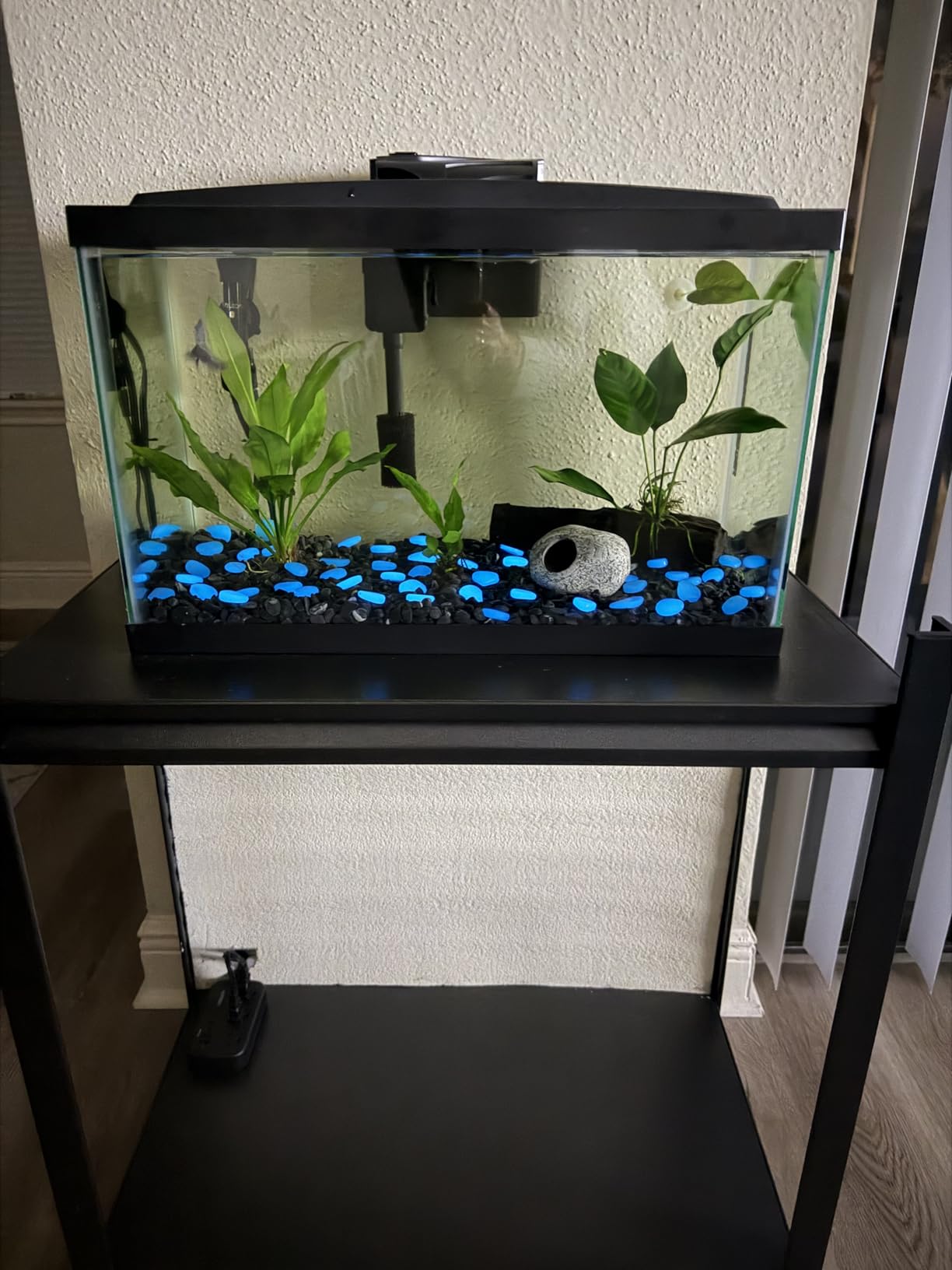 Aqueon Aquarium Starter Kit with Smart Clean Filtration and LED Lighting, Freshwater and Saltwater Fish, Perfect for Tetras, Guppies, Platies, 10-Gallon customer photo 2