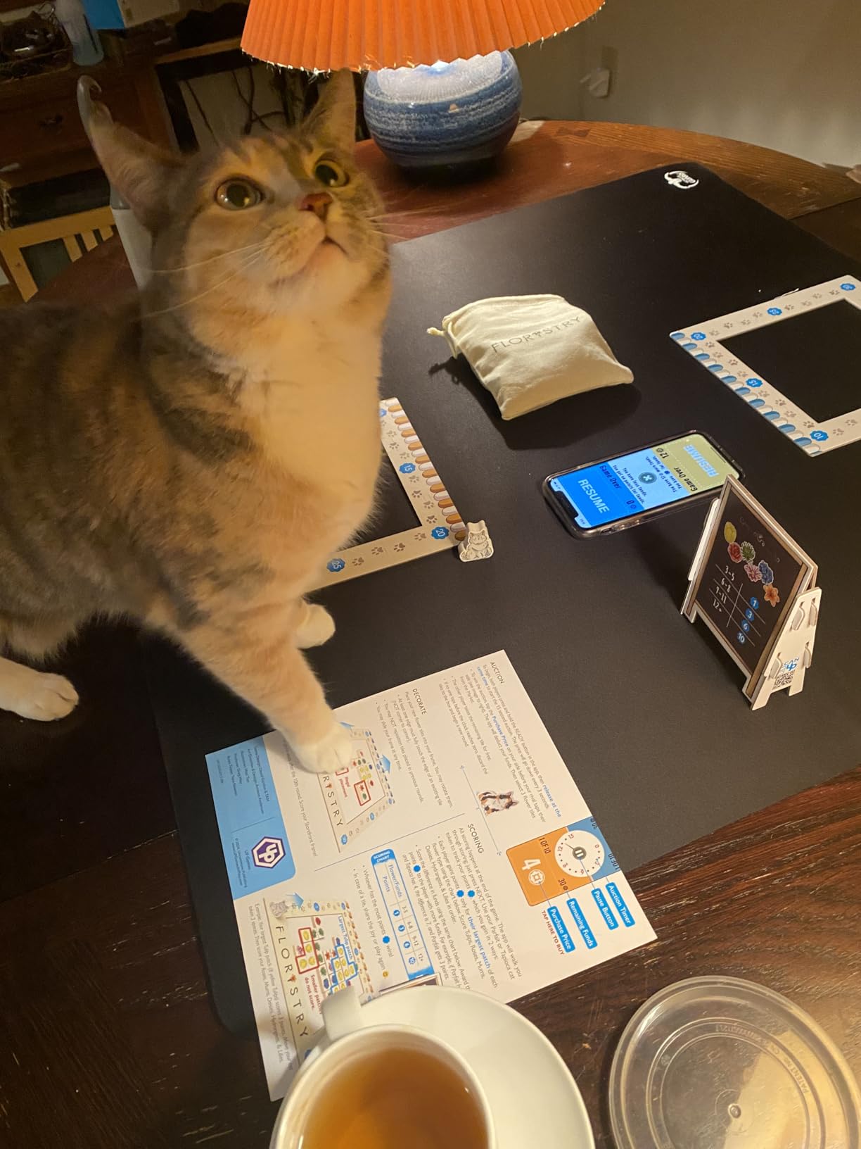 Floristry Board Game | Competitive Flower Auction, Creative Strategy Game, Family Fun for Kids & Adults, Ages 10+, 2+ Players, 30 Mins customer photo 1