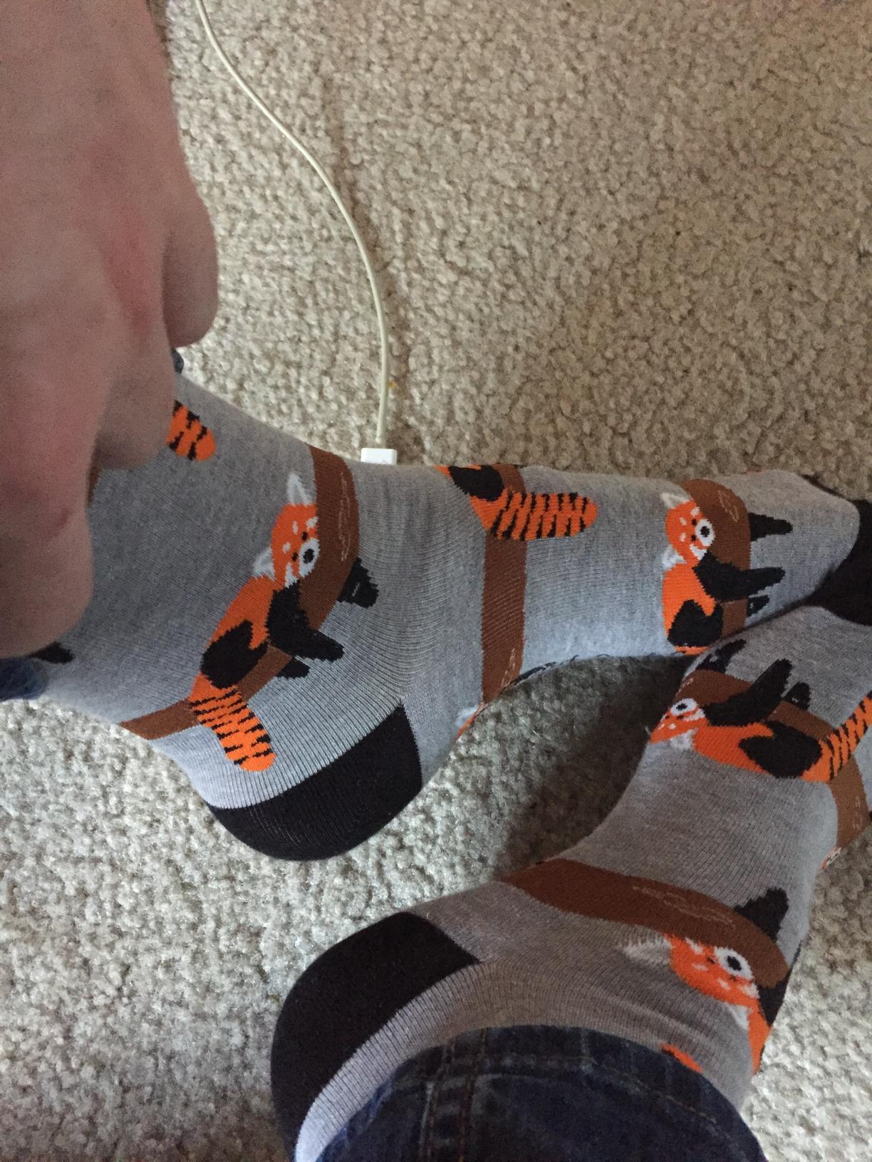 Good Luck Sock Men's Animal & Wildlife Socks, Adult customer photo 1