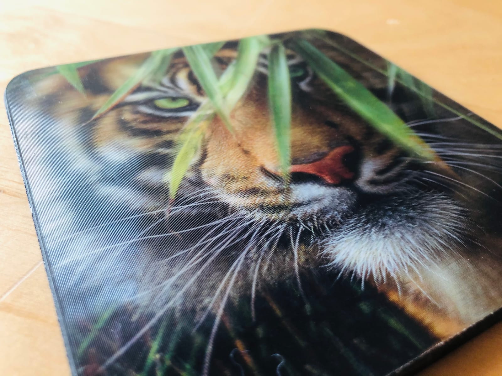 3D LiveLife Cork Coaster - Silent Encounter from Deluxebase. Lenticular 3D Cougar Drink & Mug Coasters. Fun Animal Gifts for Women and Men customer photo 1