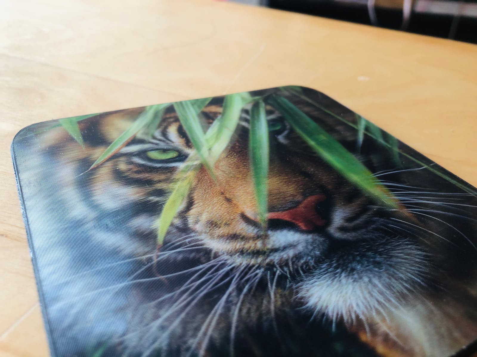 3D LiveLife Cork Coaster - Silent Encounter from Deluxebase. Lenticular 3D Cougar Drink & Mug Coasters. Fun Animal Gifts for Women and Men customer photo 2