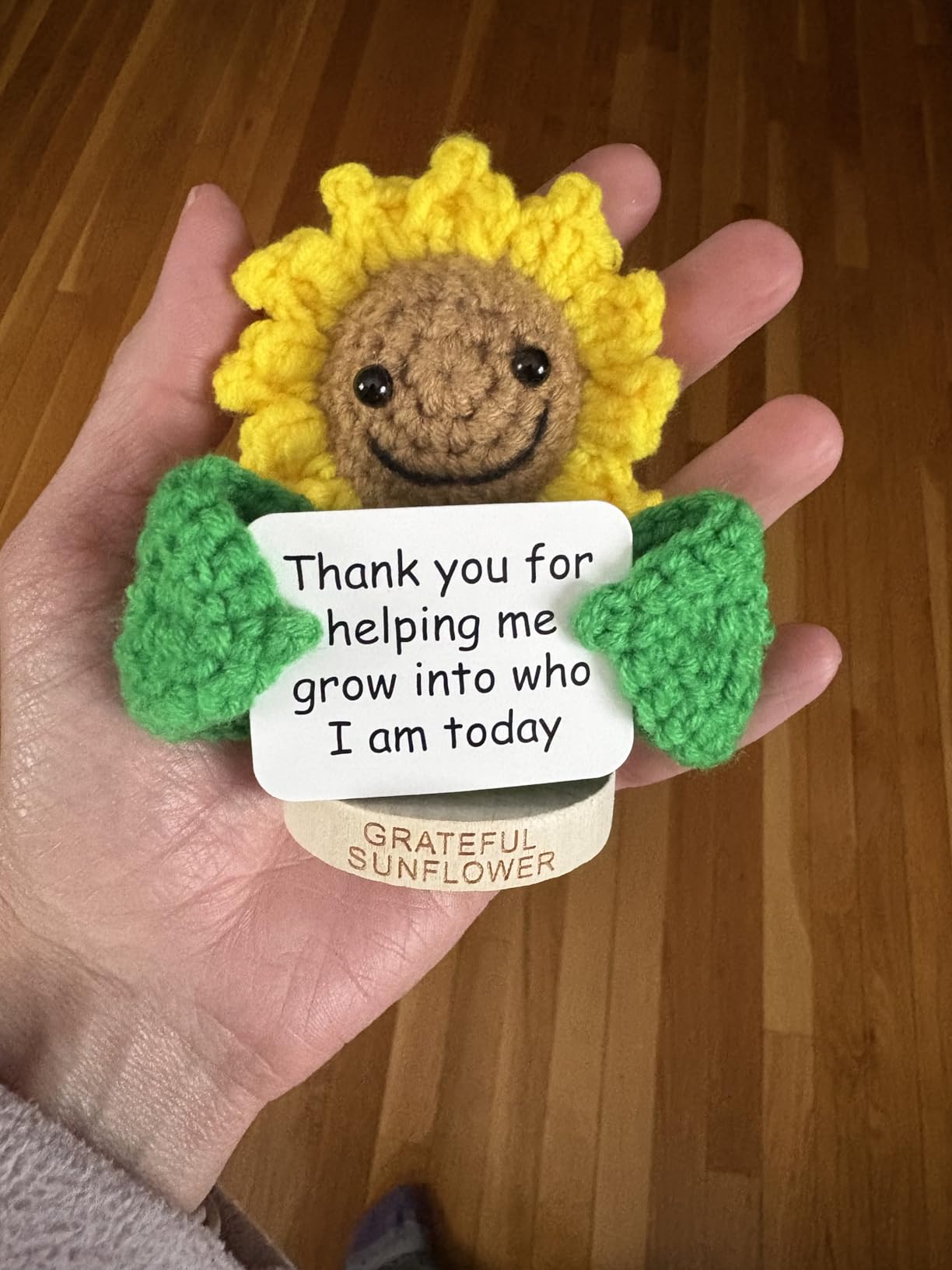 Gift for Principals - Tiny Potato with 30 Swappable Appreciation Signs - Funny Principal Gifts for Women Men for Birthday, School End of Year Appreciation, Thank You, New Job, Promotion, Retirement customer photo 1