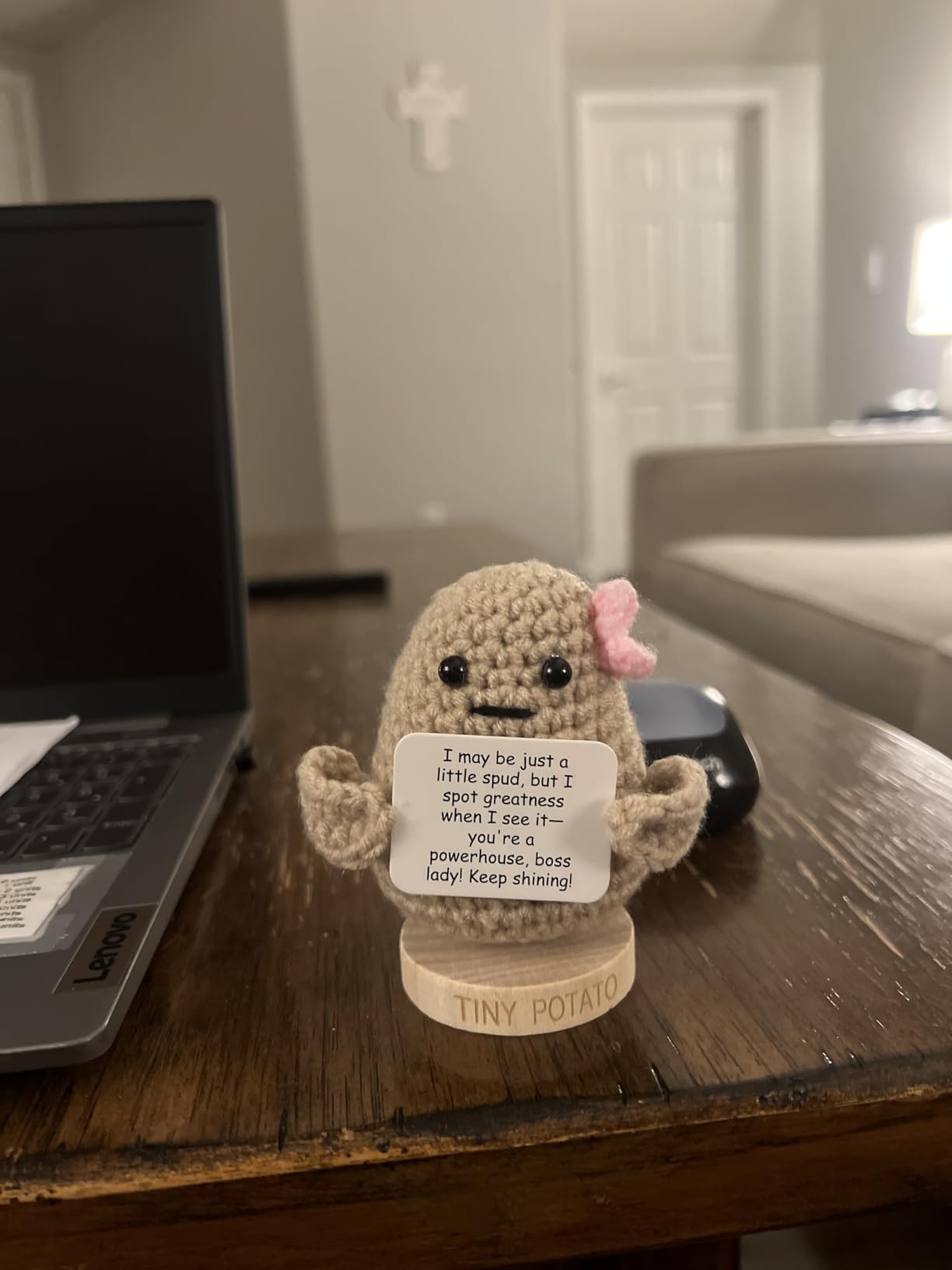 Gift for Principals - Tiny Potato with 30 Swappable Appreciation Signs - Funny Principal Gifts for Women Men for Birthday, School End of Year Appreciation, Thank You, New Job, Promotion, Retirement customer photo 2