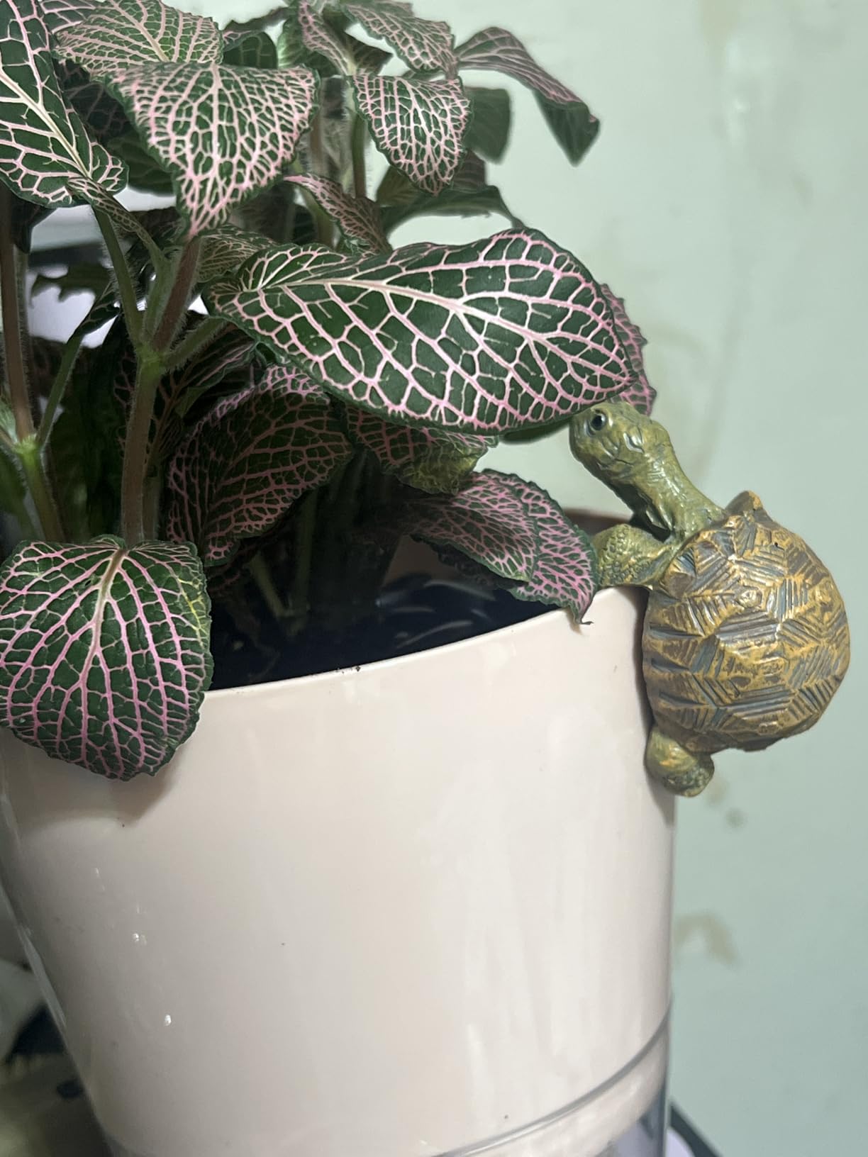 Mini Turtle Statue Miniature Tortoise Figurine Plant Pot Hugger | Resin Climbing Turtle Hanger Ornament Garden Decor for Bonsai Succulents Aquariums, Creative Gift for Plant Parents customer photo 1