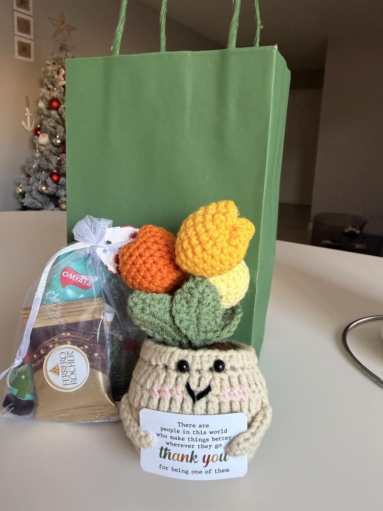 OASSIE Teacher Gifts for Women Men - Positive Crochet Tulip, Back to School | Thank You Gifts for Women Teachers, Emotional Support Crochet, Handmade Keepsake customer photo 1