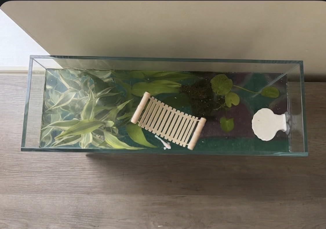 Zoo Med Floating Betta Lounge customer photo 1