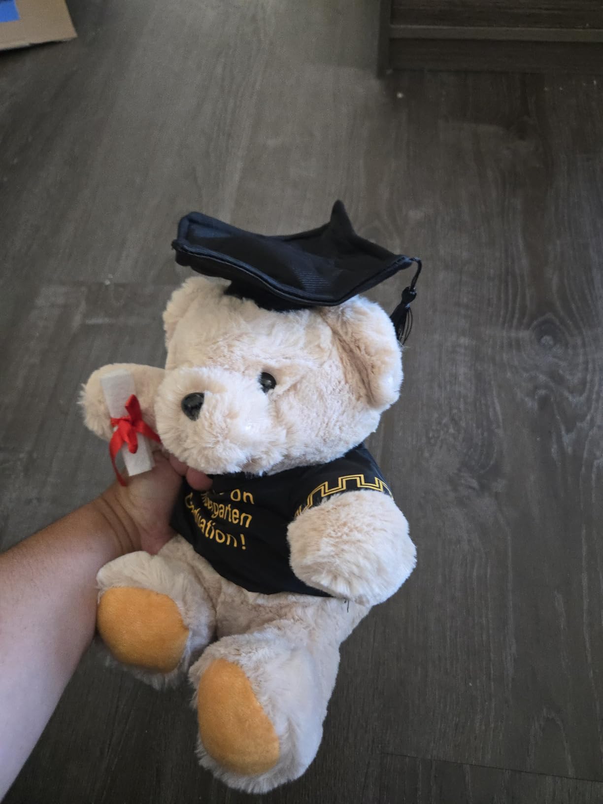 8 Inch Graduation Plush Stuffed Animal Class of 2026 Gift (Kindergarten) customer photo 1