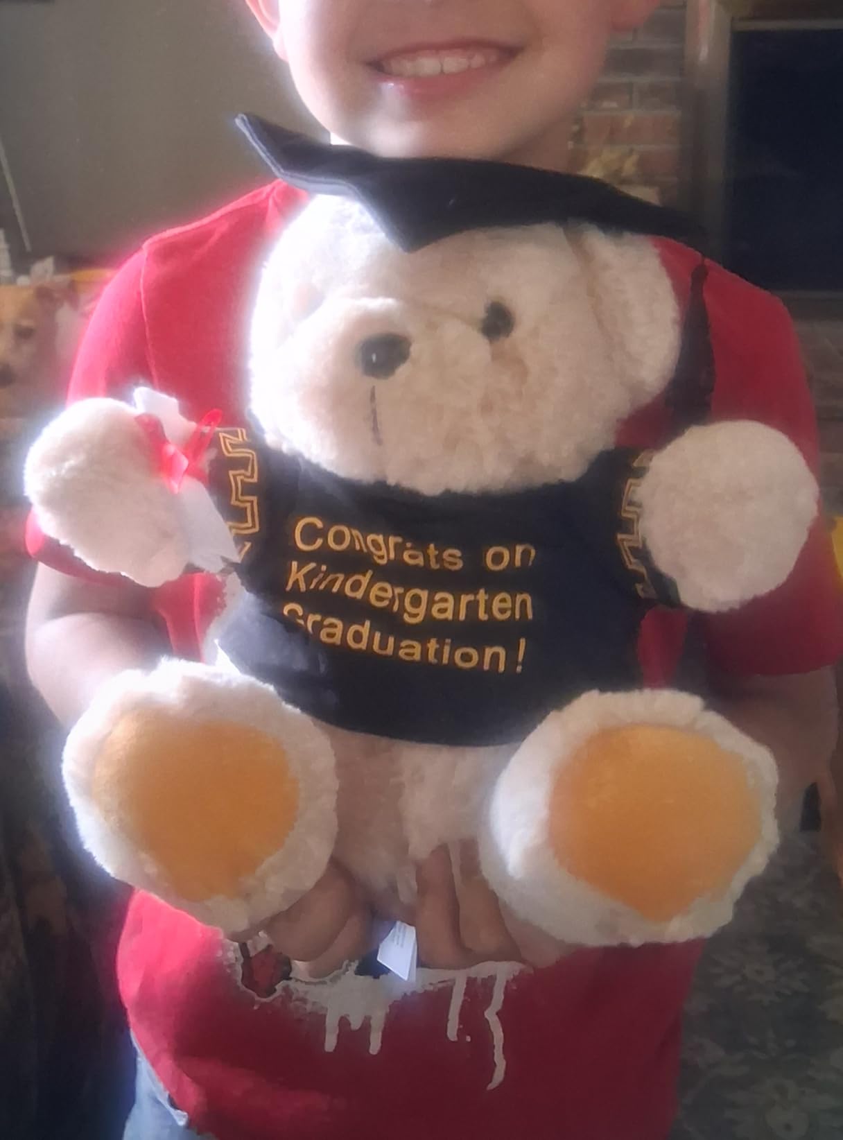8 Inch Graduation Plush Stuffed Animal Class of 2026 Gift (Kindergarten) customer photo 2