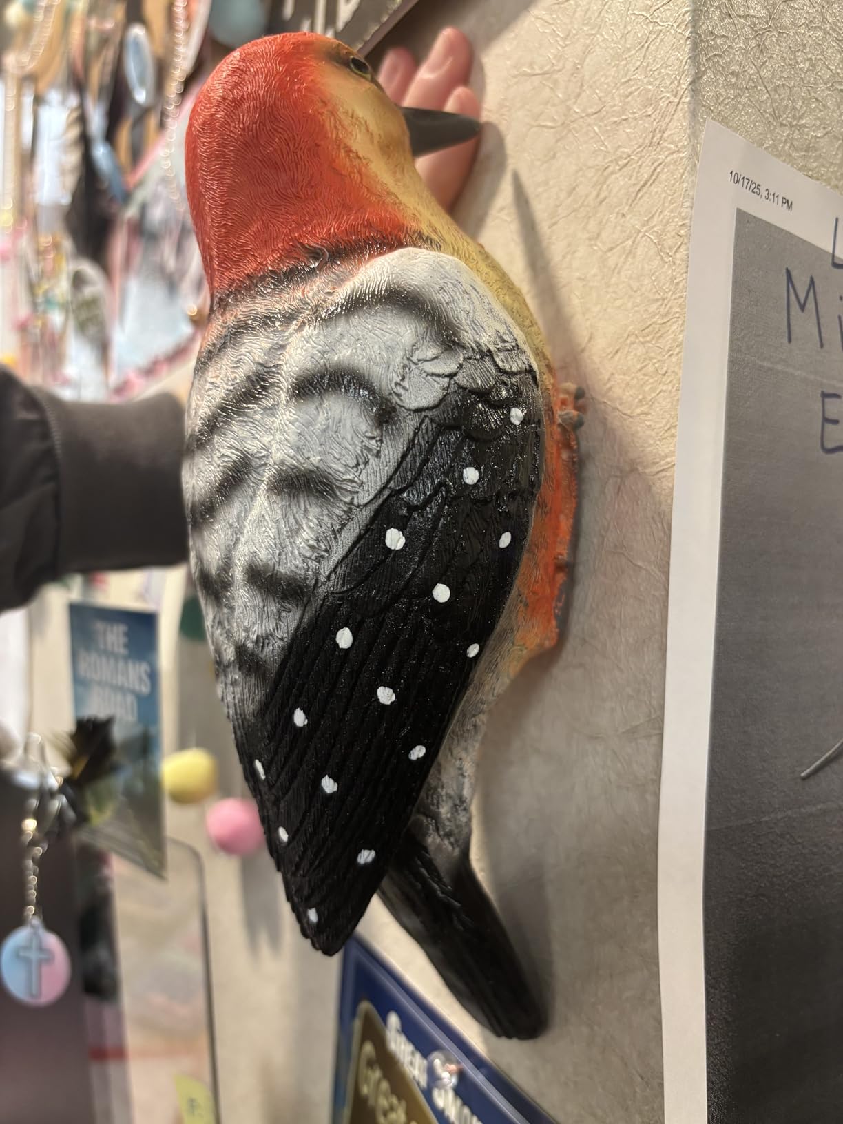 Outdoor Resin Bird Statue, Hanging Tropical Bird, red-Bellied Woodpecker Sculpture Perfect Patio Decor, Outdoor, Patio, Lawn, Tree Trunk, Porch Decor customer photo 2