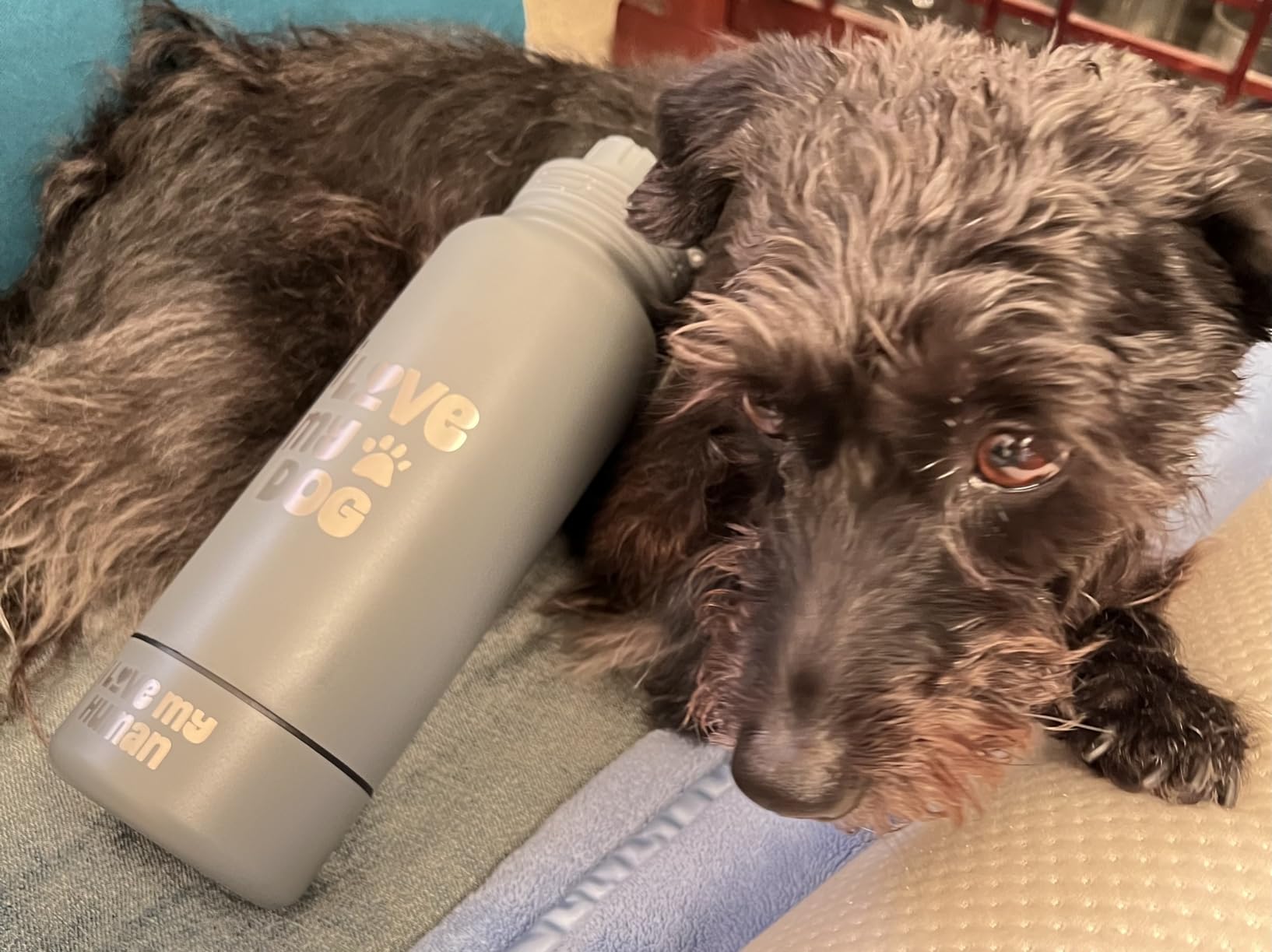 Rubyloo Dog Dad Water Bottle with Detachable Bowl for Dog Lovers | 32oz Insulated Stainless Steel Bottle, 8oz Detachable Bowl, Leak-Proof Lid, BPA-Free customer photo 2