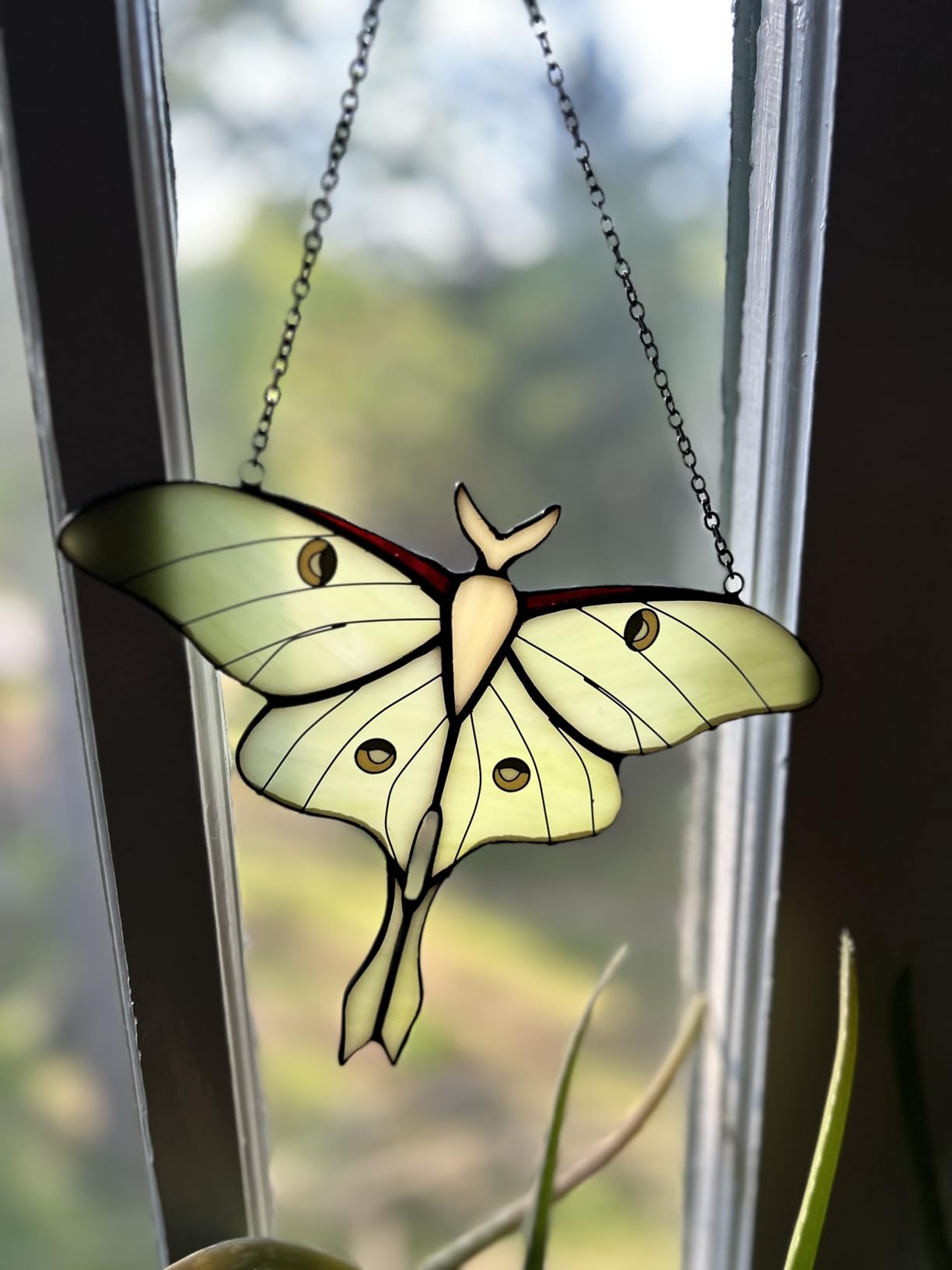 Green Luna Moth Stained Glass Window Hanging - Handmade Real Glass Suncatcher for Women, Mom, Grandma - Elegant Green Butterfly Gifts Box Home Decor (H5.8xW7.3Inch) customer photo 2