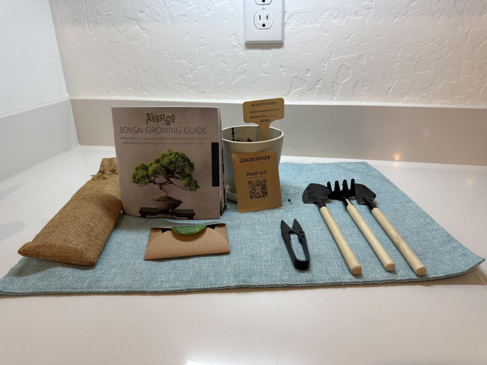 Avergo Bonsai Starter Kit - Growing Jacaranda Bonzai Tree | Complete Indoor Tree Kit for Growing Plants with Tools & Planter - Gardening Gifts for Mother, Women & Men customer photo 2