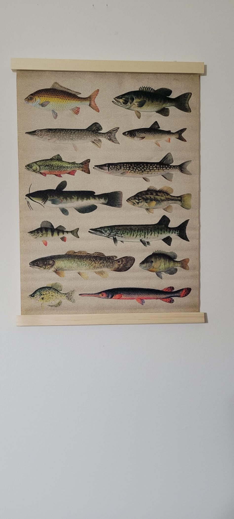 ZTGDA Funny Fish Poster Rainbow Trout Decor, Vintage Fish Wall Poster, Linen Canvas Hanging Wall Art, Rustic Fishing Decor for Cabin, Man Cave, Bar & Lake House Set of 2, 12x16 Inch customer photo 1