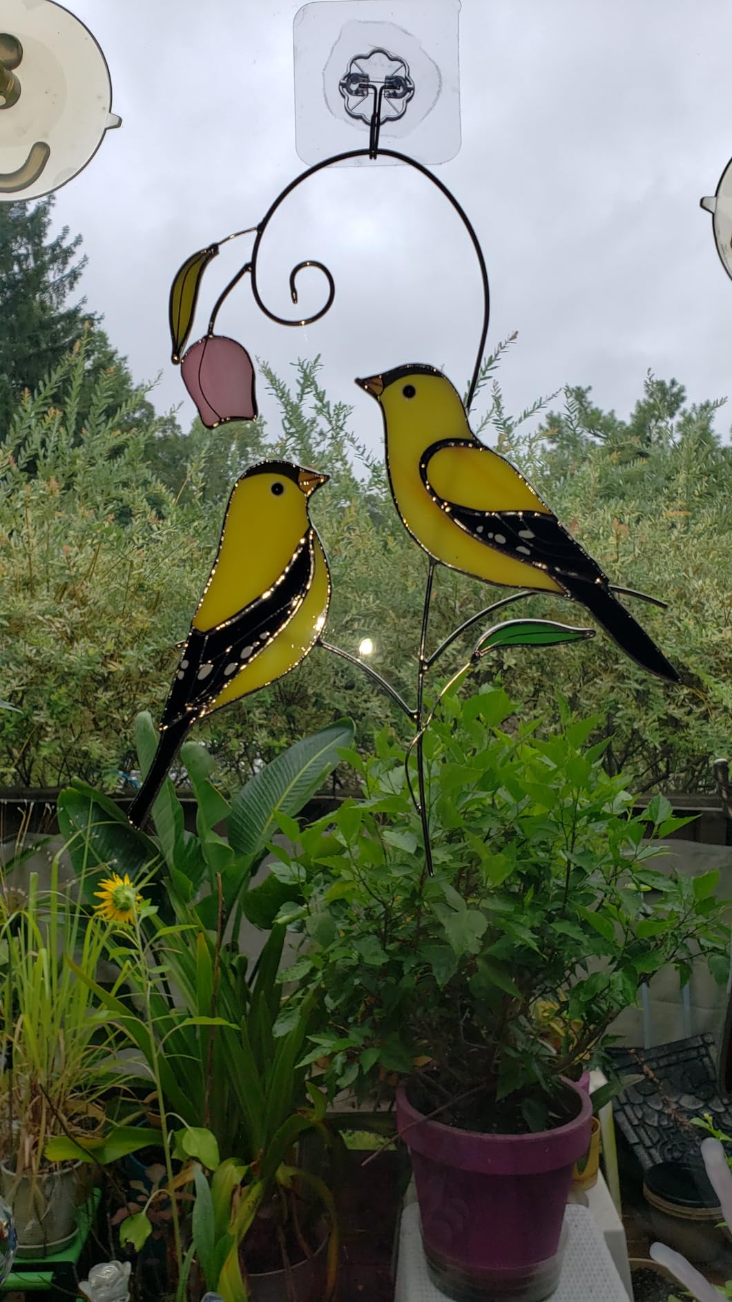 Iricrist Goldfinch (1 Pair) Stained Glass Birds Suncatcher for Mom, Grandma, Women - Real Glass Window Hanging Ornament - Handmade Bird Lover Home Decor (Gifts Ready Packaging) customer photo 1