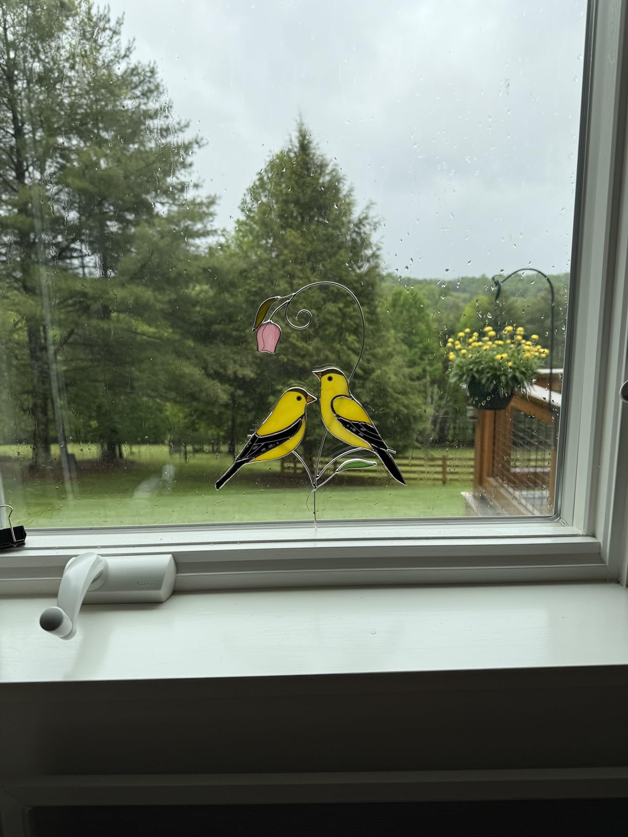 Iricrist Goldfinch (1 Pair) Stained Glass Birds Suncatcher for Mom, Grandma, Women - Real Glass Window Hanging Ornament - Handmade Bird Lover Home Decor (Gifts Ready Packaging) customer photo 2