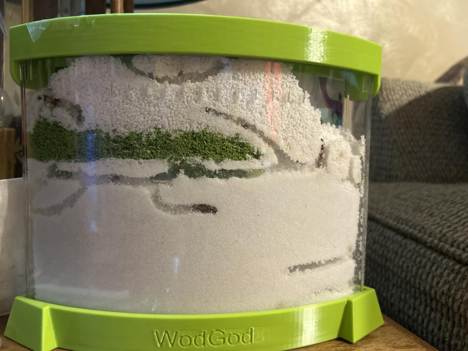 Illuminated Ant Farm Habitat with Magnifier - Educational Ecosystem for Ant Colony Observation, Home & Classroom Science Study (Live Ants Not Included) customer photo 1