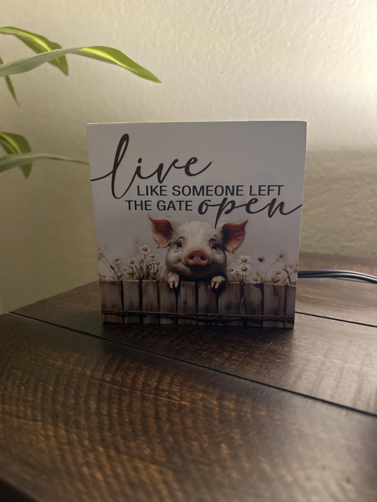 Live like Someone Left the Gate Open Alpaca Wooden Signs, Farm Cottagecore Animal Office Kitchen Bedroom Decor, Rustic Farmhouse Home Decor Signs, Alpaca Gifts for Women customer photo 2