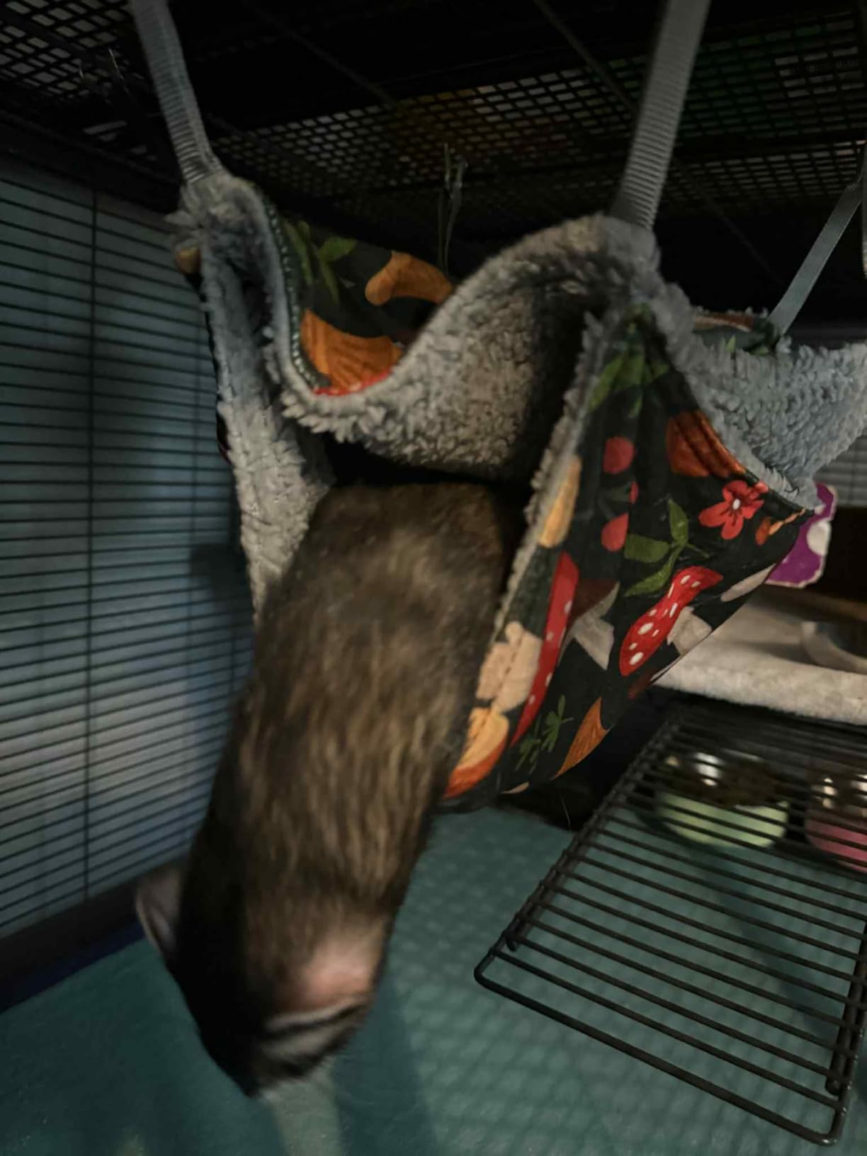 Bienbee 2 Pcs Ferret Rat Hammock Set for Cage Washable Guinea Pig Hideout Bed Soft Small Animal Hammock Tunnel Toys Ferret Cage Accessories customer photo 1