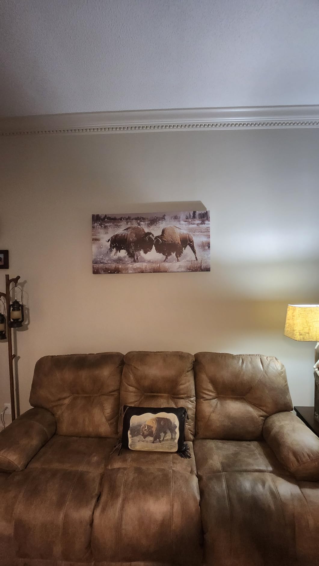 CXVU Western Bison Wall Art for Living room Lnner Framed, American Buffalo Landscape Pictures Wall Art Decor, Brown Country Animal Decor Painting Ready to Hang 32''x16'' customer photo 2