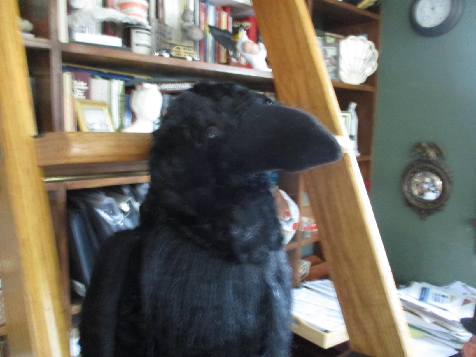 The Petting Zoo Black Raven Stuffed Animal, Wild Onez, Kids Gifts, 12 in | Raven Realistic Wildlife Animals by Zoologee. Great Toys for Girls and Boys. Plush Gifts for Kids customer photo 1