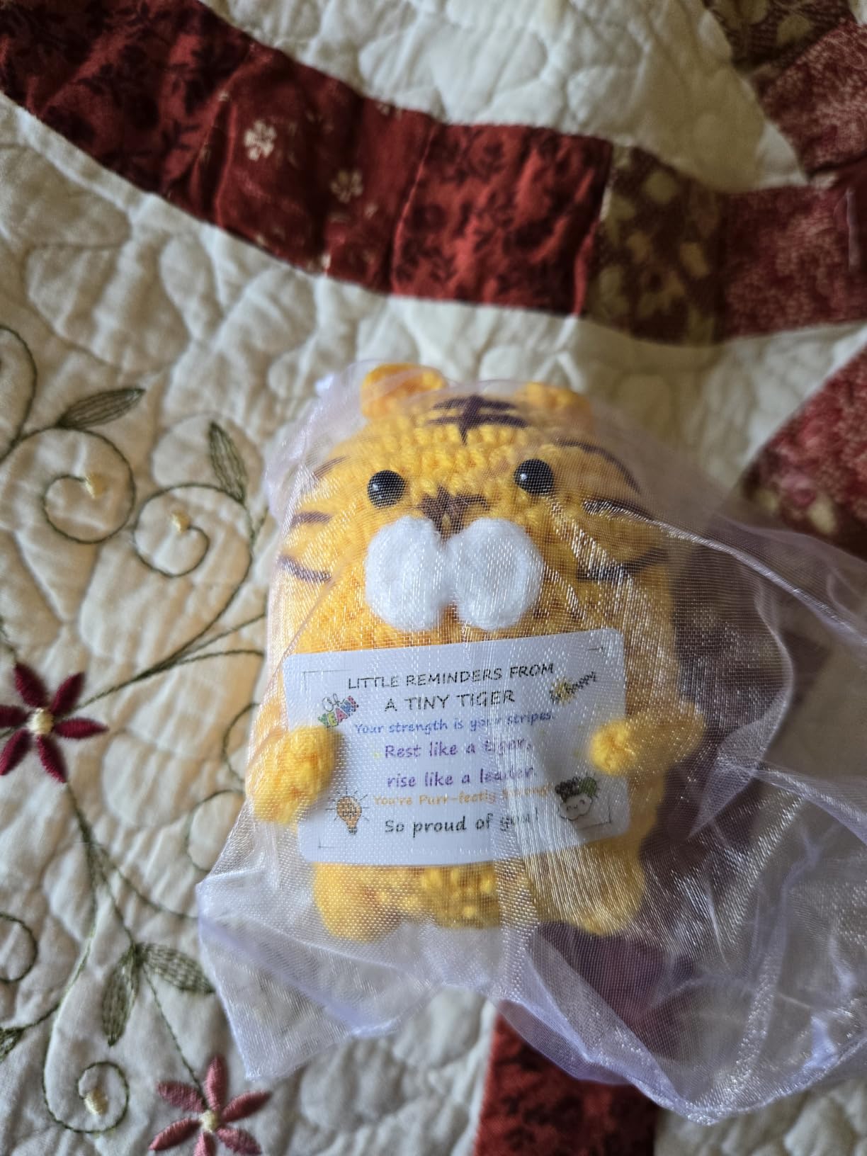 Positive Crochet Tiger Gift for Women Men, Inspirational Support Present | Emotional Cute Support Gift for Adult Teens, Uplifting Funny Desk Decor for Office Home, Appreciation Birthday Graduation customer photo 2