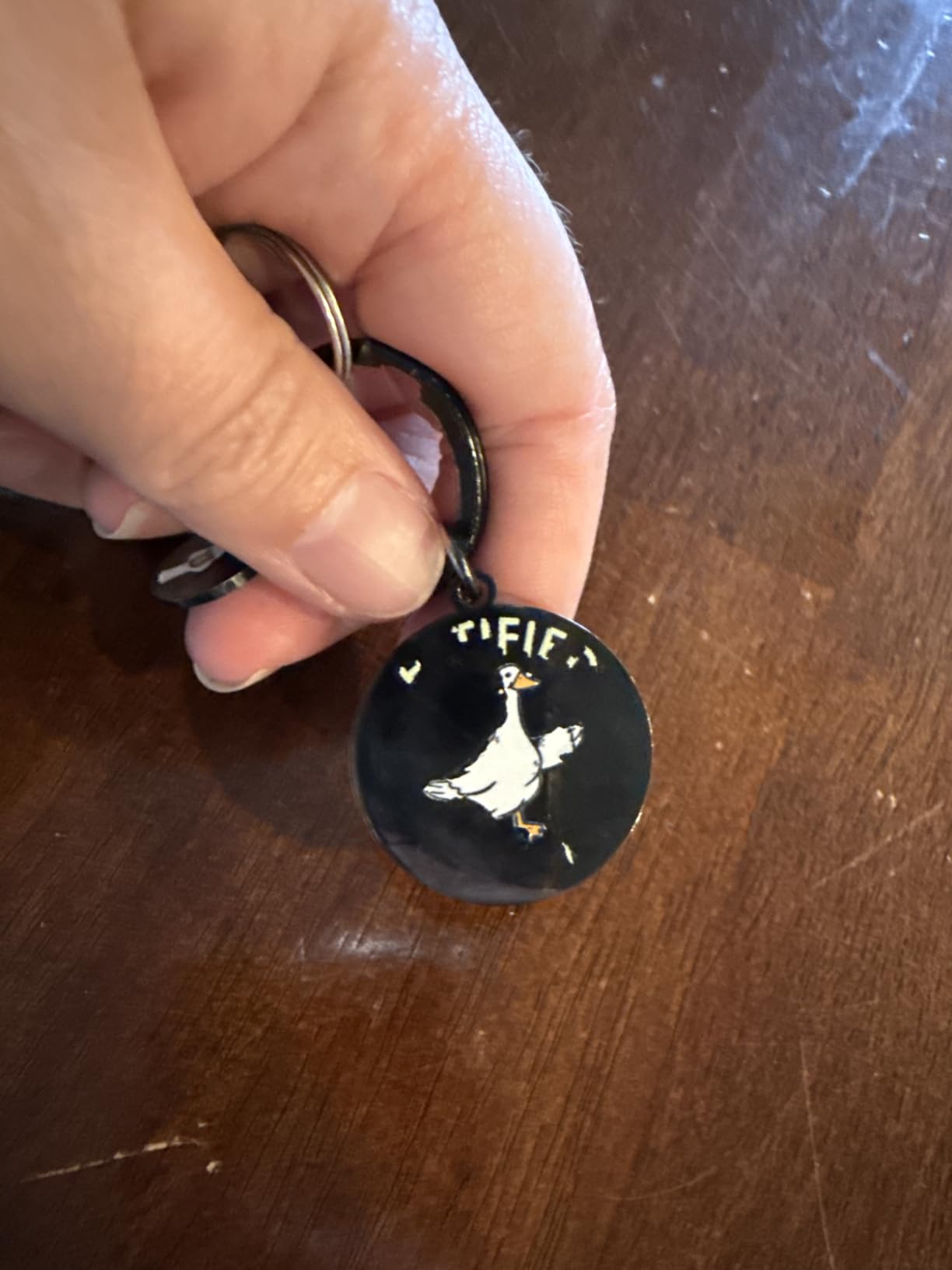 Funny Silly Goose Keychain for Teen Girls Women Men Goose Decor | Funny Gag Gifts for Friends Coworkers Novelty Keychains White Elephant Gifts for Adults Stocking Stuffers for Teen Girls customer photo 1