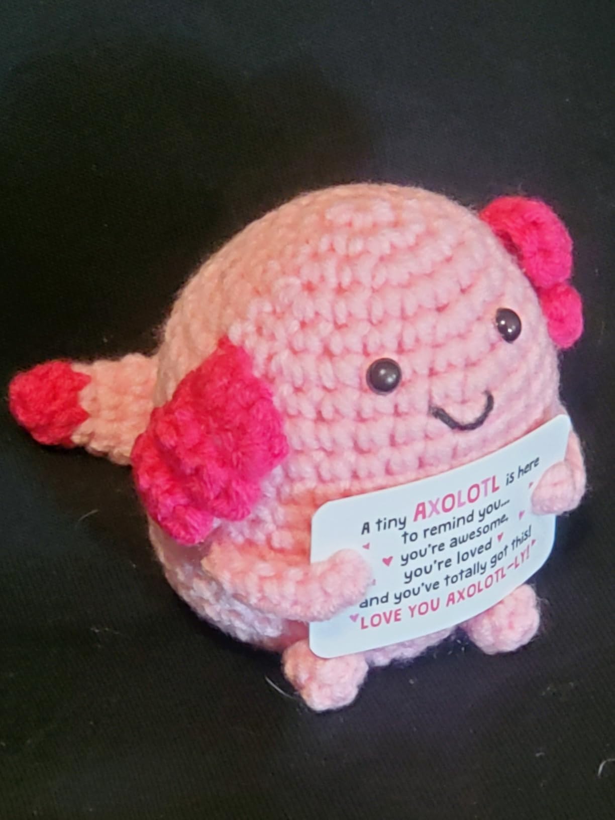 OASSIE Turtle Gifts for Women - Handmade Positive Crochet Animals Turtle customer photo 1