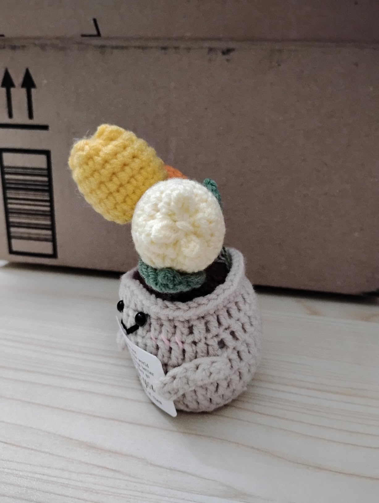 OASSIE Turtle Gifts for Women - Handmade Positive Crochet Animals Turtle customer photo 2